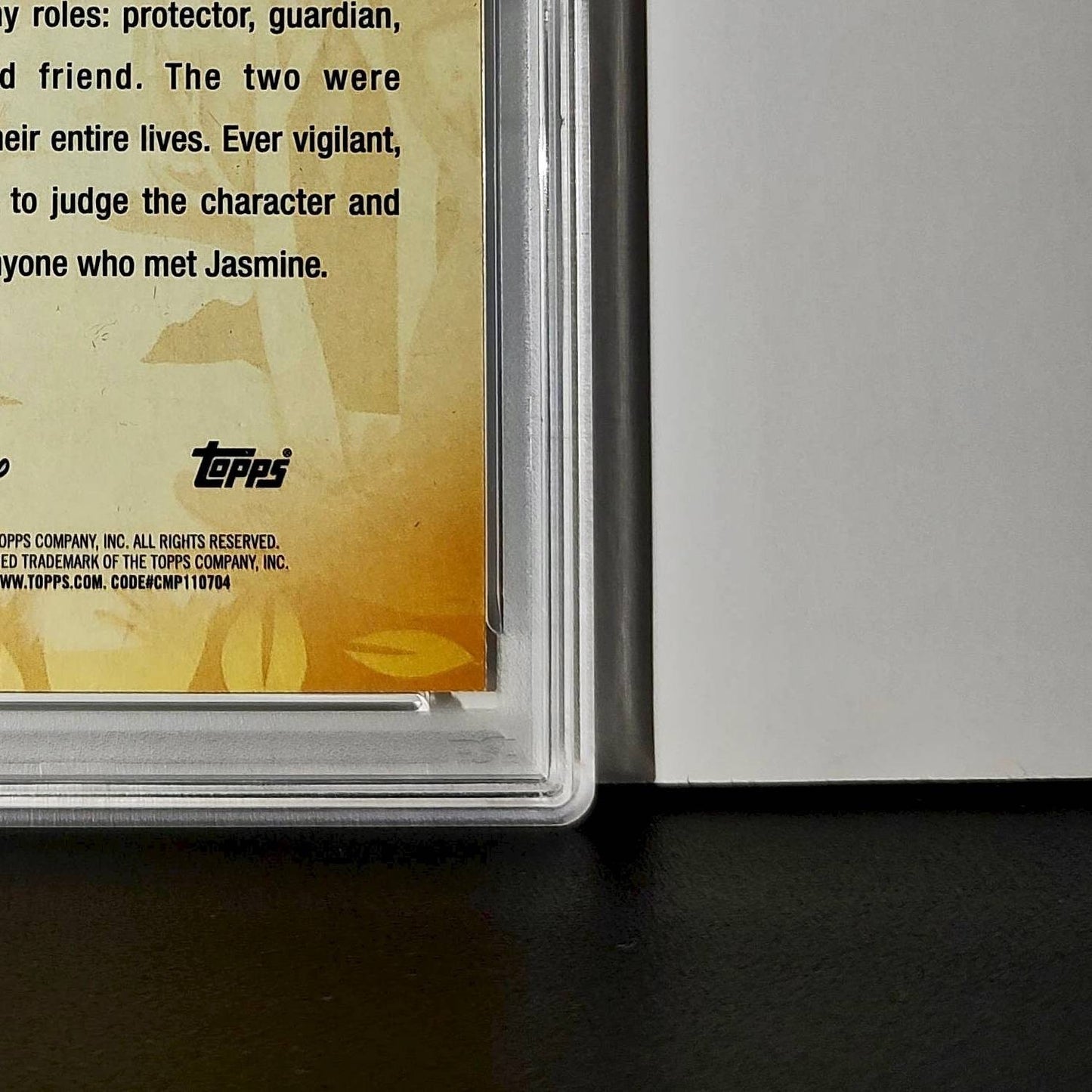 Rajah 2025 Topps Disney #FF-12 Furry Friends Card Aladdin PSA 9 MT
