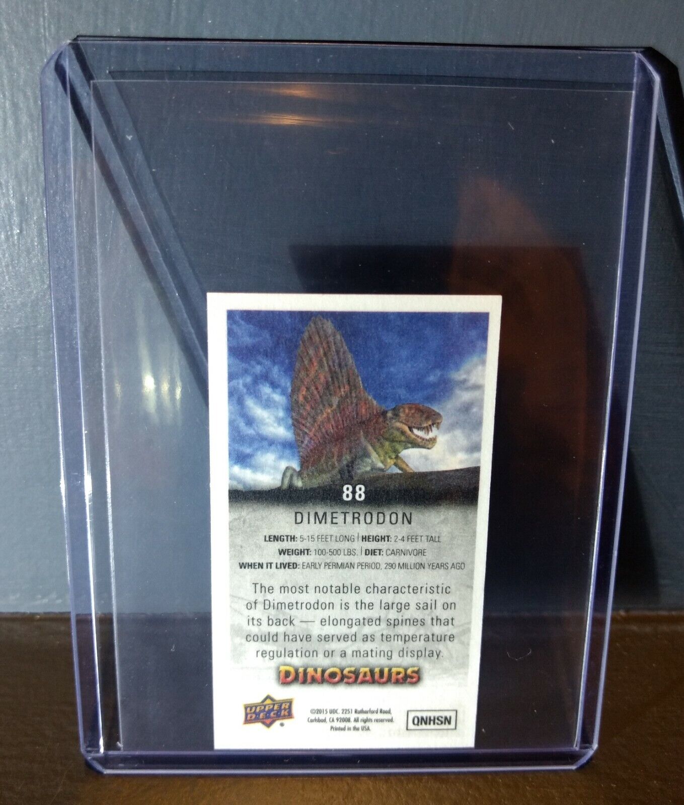 2015 Upper Deck Dinosaurs Canvas Mini Dimetrodon #88 Trading Card