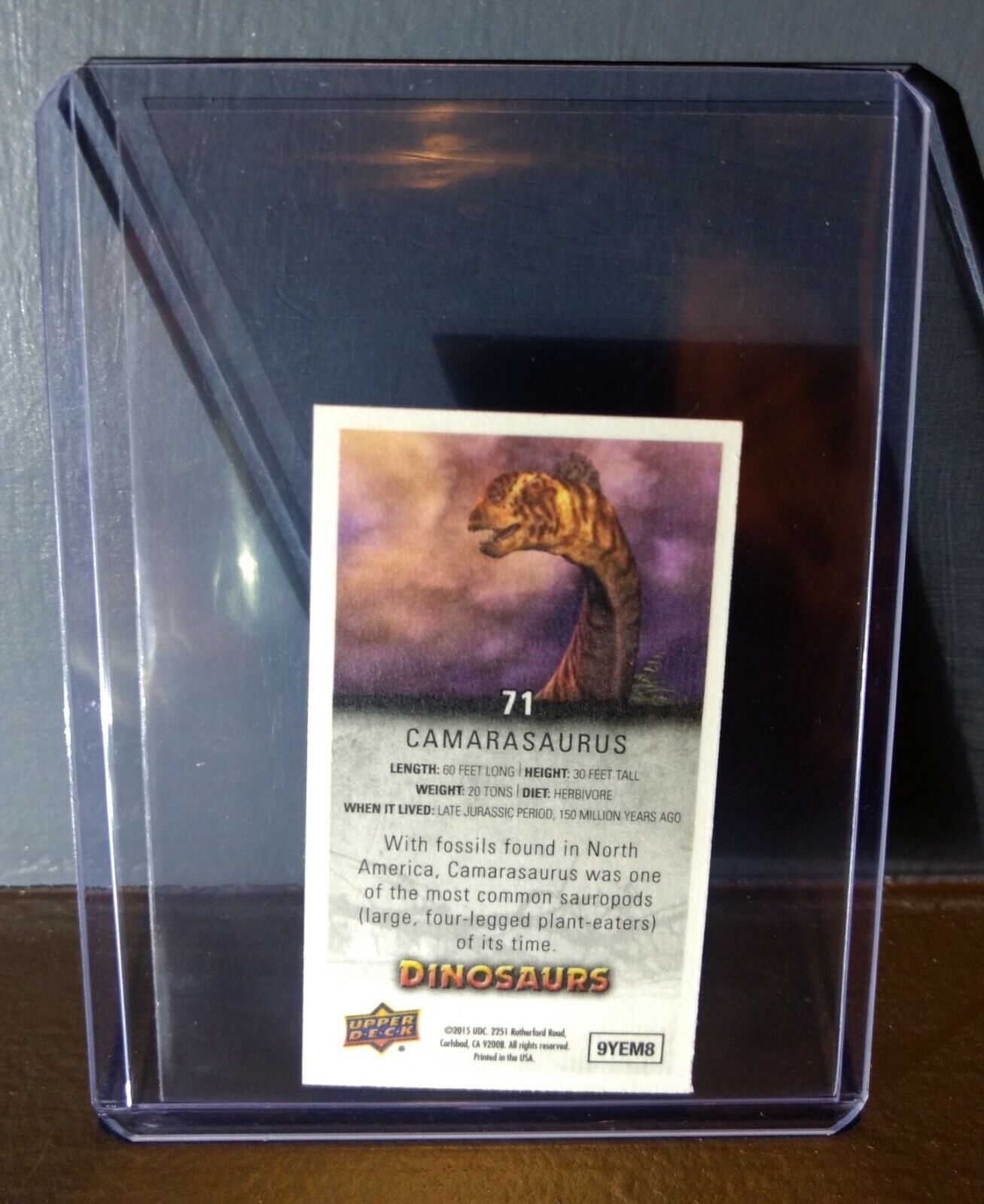 2015 Upper Deck Dinosaurs Canvas Mini Camarasaurus #71 Trading Card