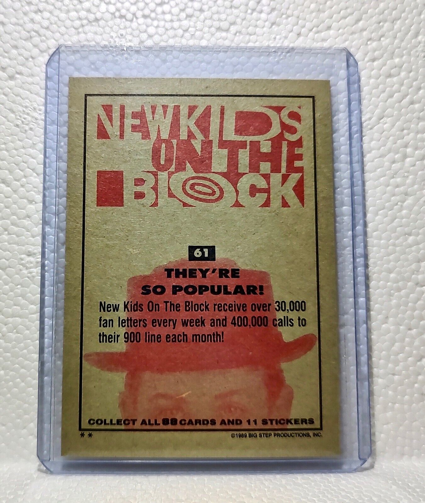 They're So Popular! 1989 New Kids on the Block #61 Trading Card