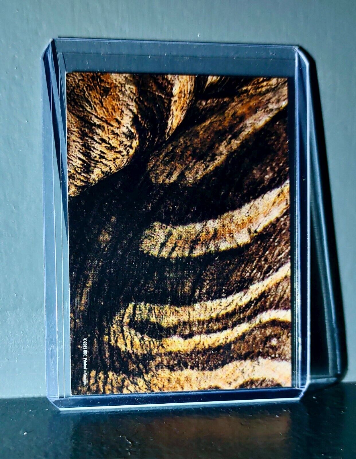 2015 Upper Deck Dinosaurs Dilophosaurus #S-10 Trading Sticker Card