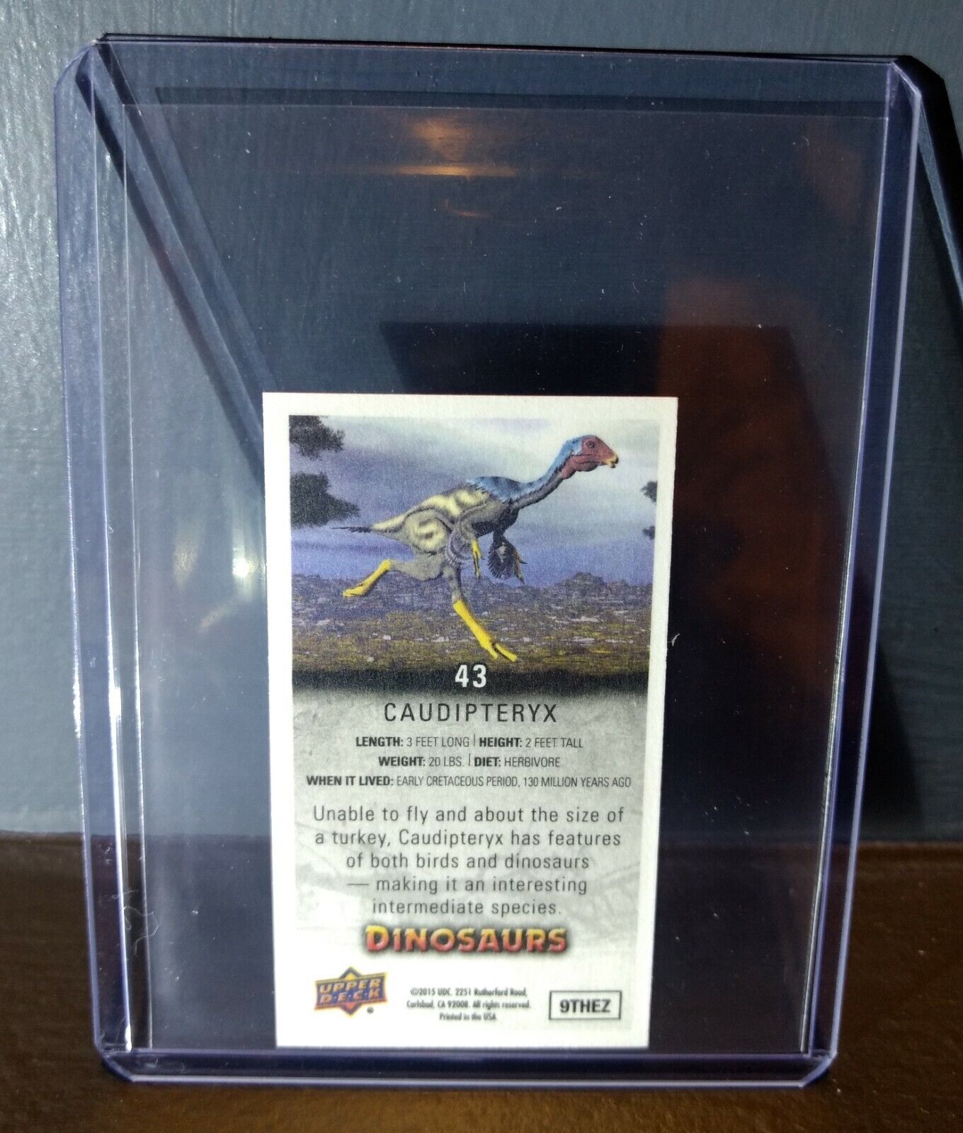 2015 Upper Deck Dinosaurs Canvas Mini Caudipteryx #43 Trading Card