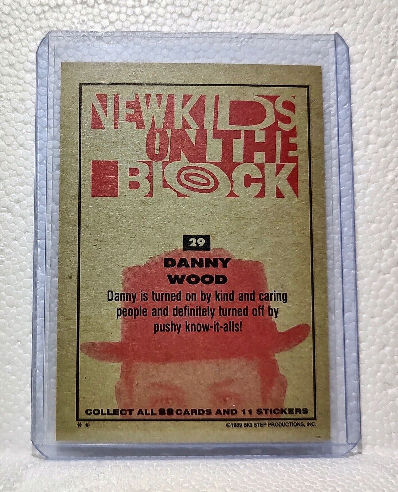 Danny Woods 1989 New Kids on the Block #29 Trading Card