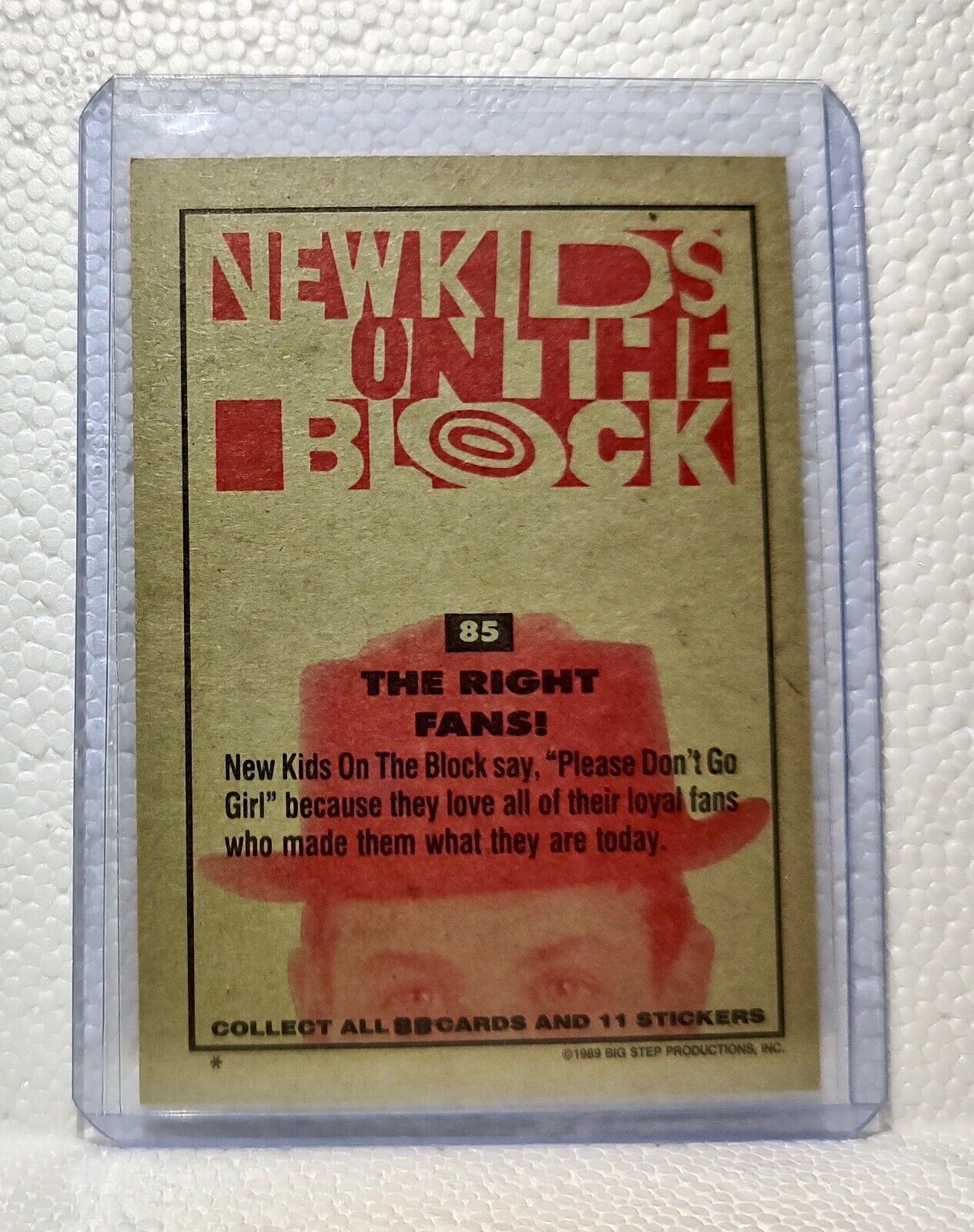 The Righ Fans? 1989 New Kids on the Block #85 Trading Card