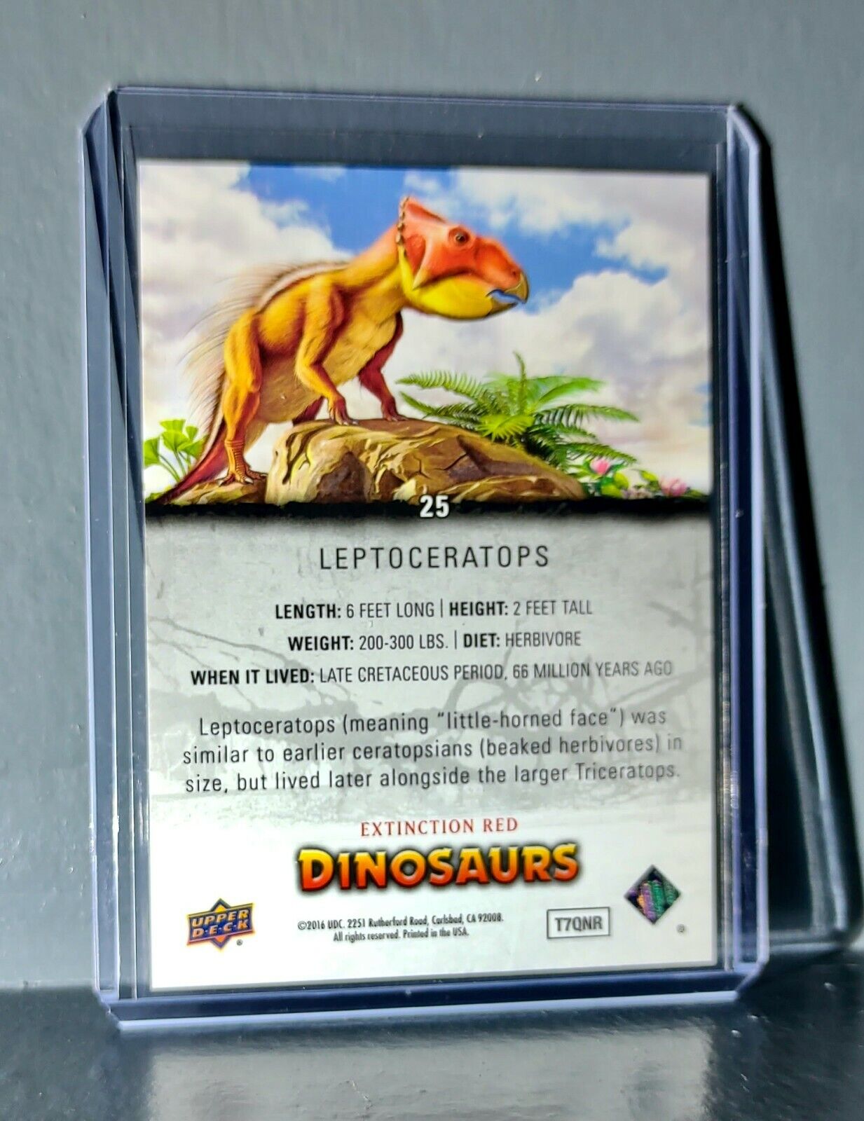 2015 Upper Deck Dinosaurs Leptoceratops Extinction Red Parallel #25 Card