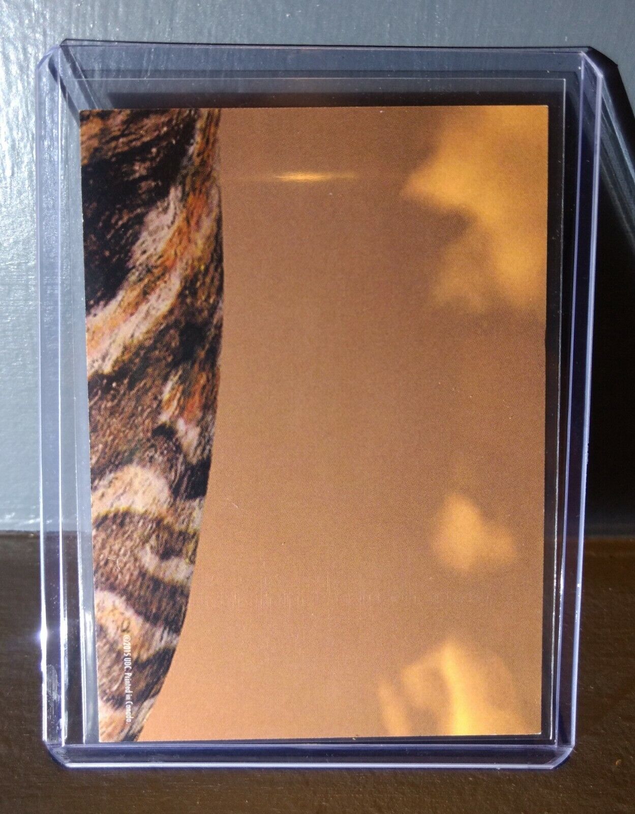 2015 Upper Deck Dinosaurs Apatosaurus #S-4 Trading Sticker Card