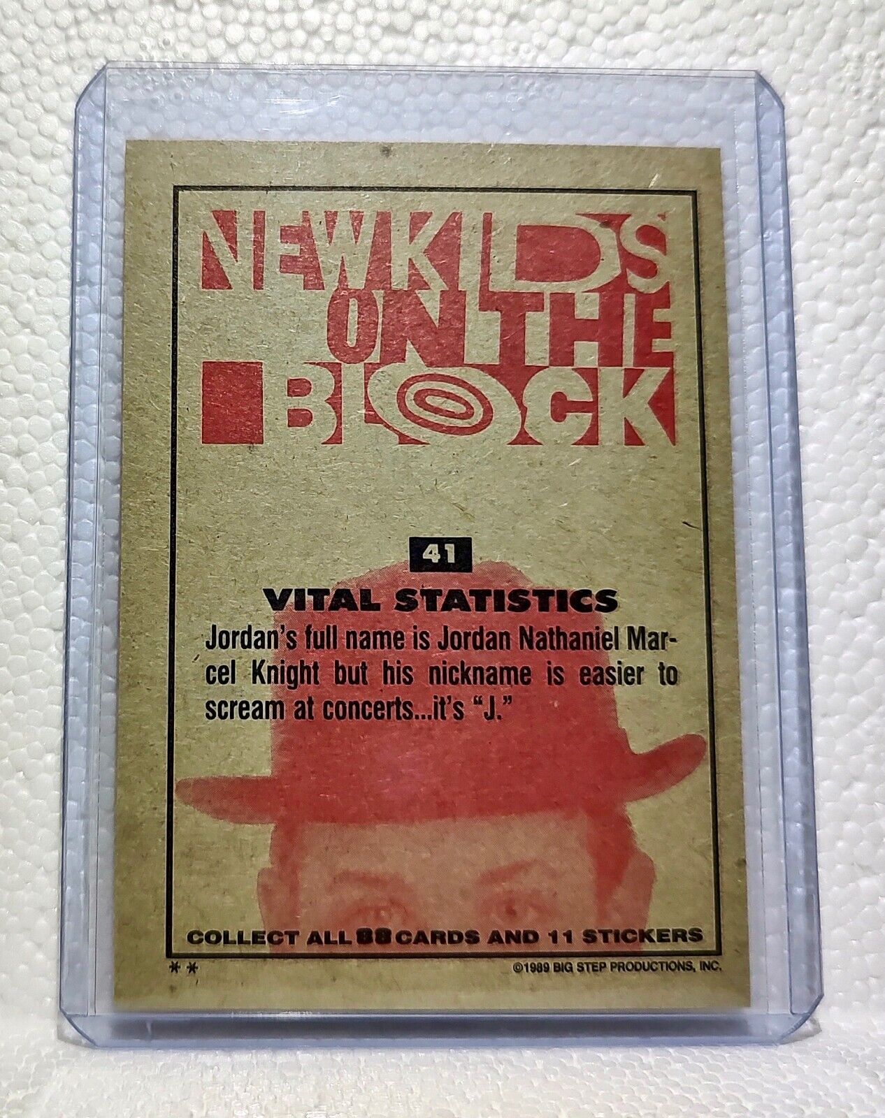 Vital Statistics 1989 New Kids on the Block #41 Trading Card