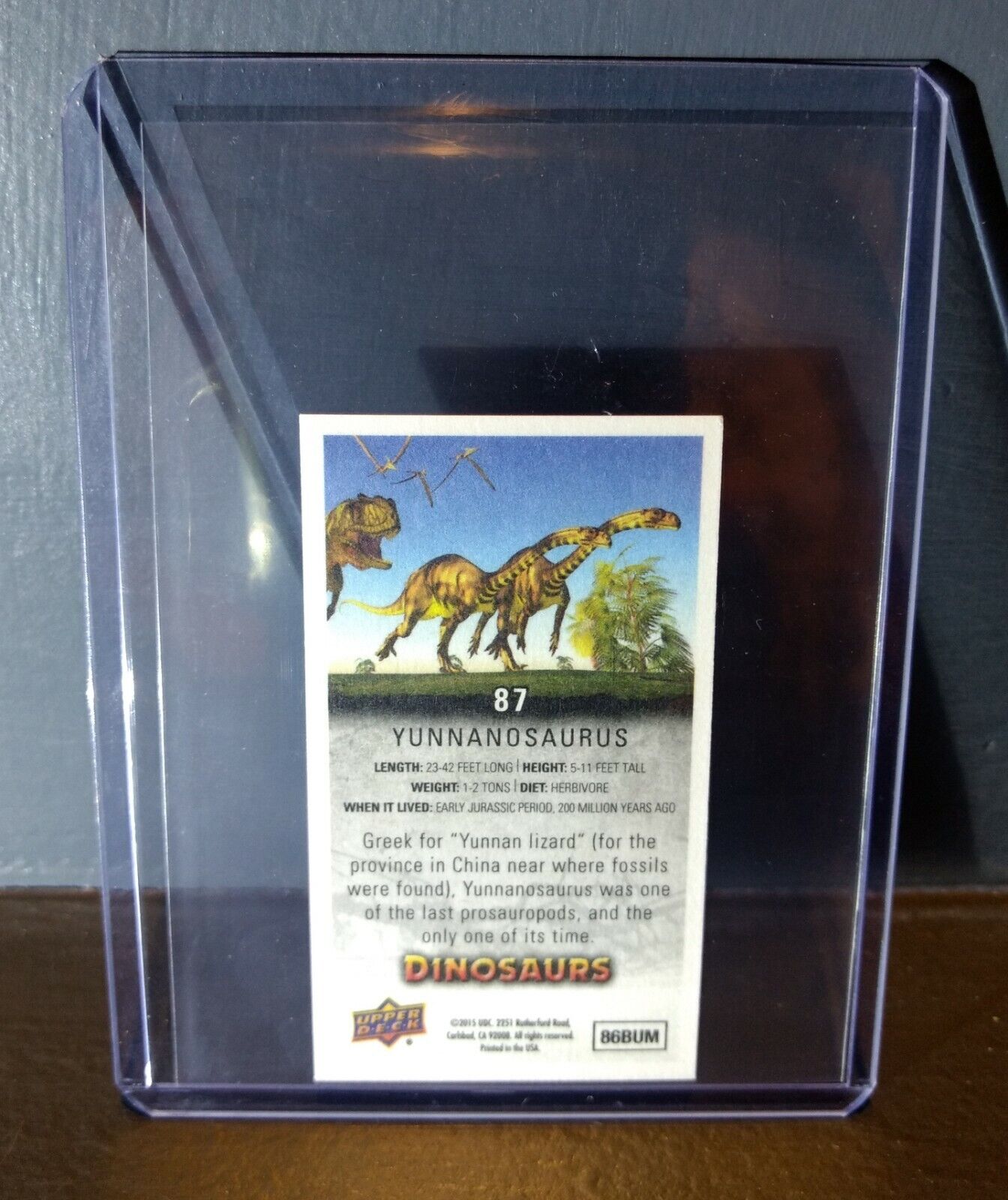 2015 Upper Deck Dinosaurs Canvas Mini Yunnanosaurus #87 Trading Card
