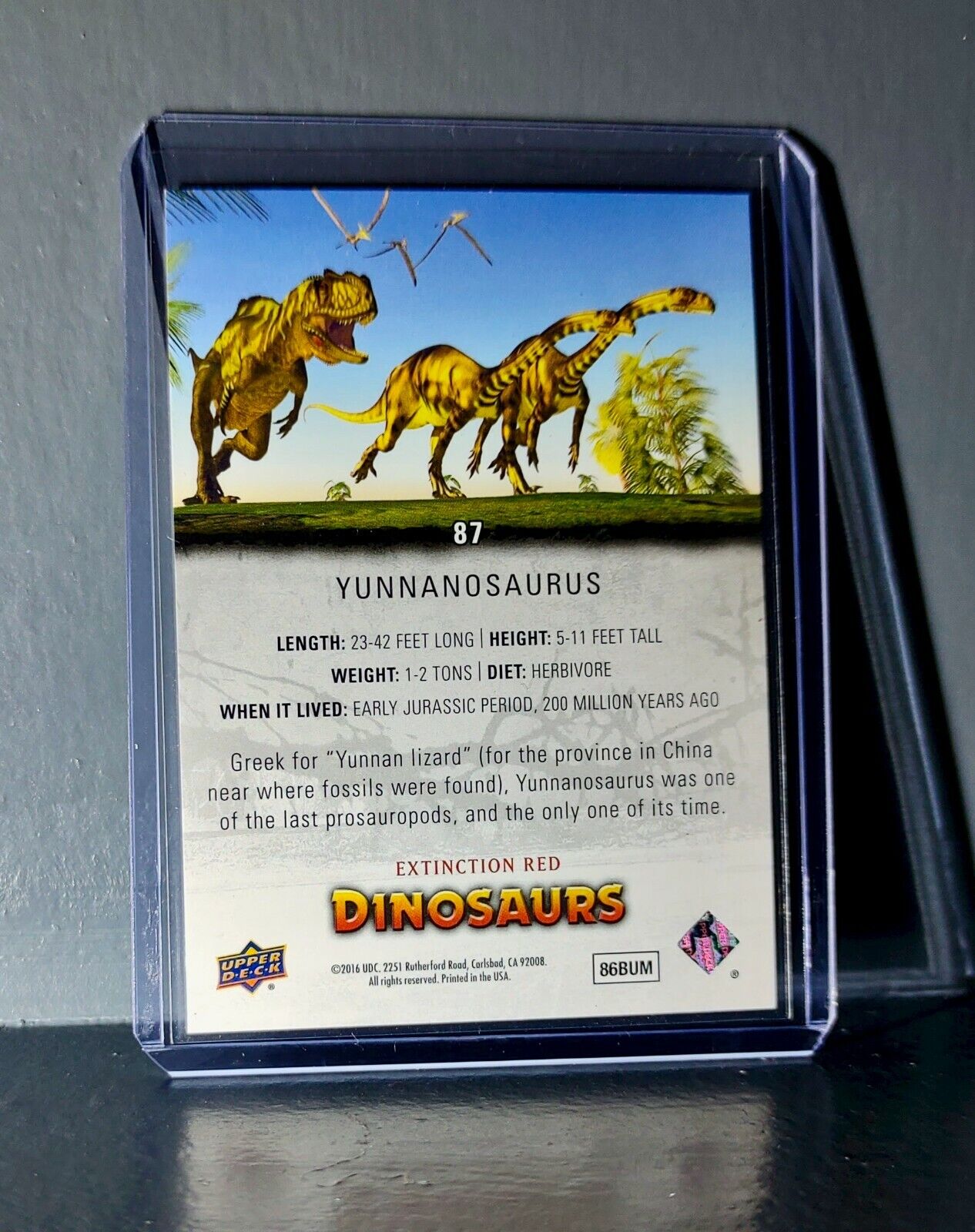 2015 Upper Deck Dinosaurs Yunnanosaurus Extinction Red Parallel #87 Card