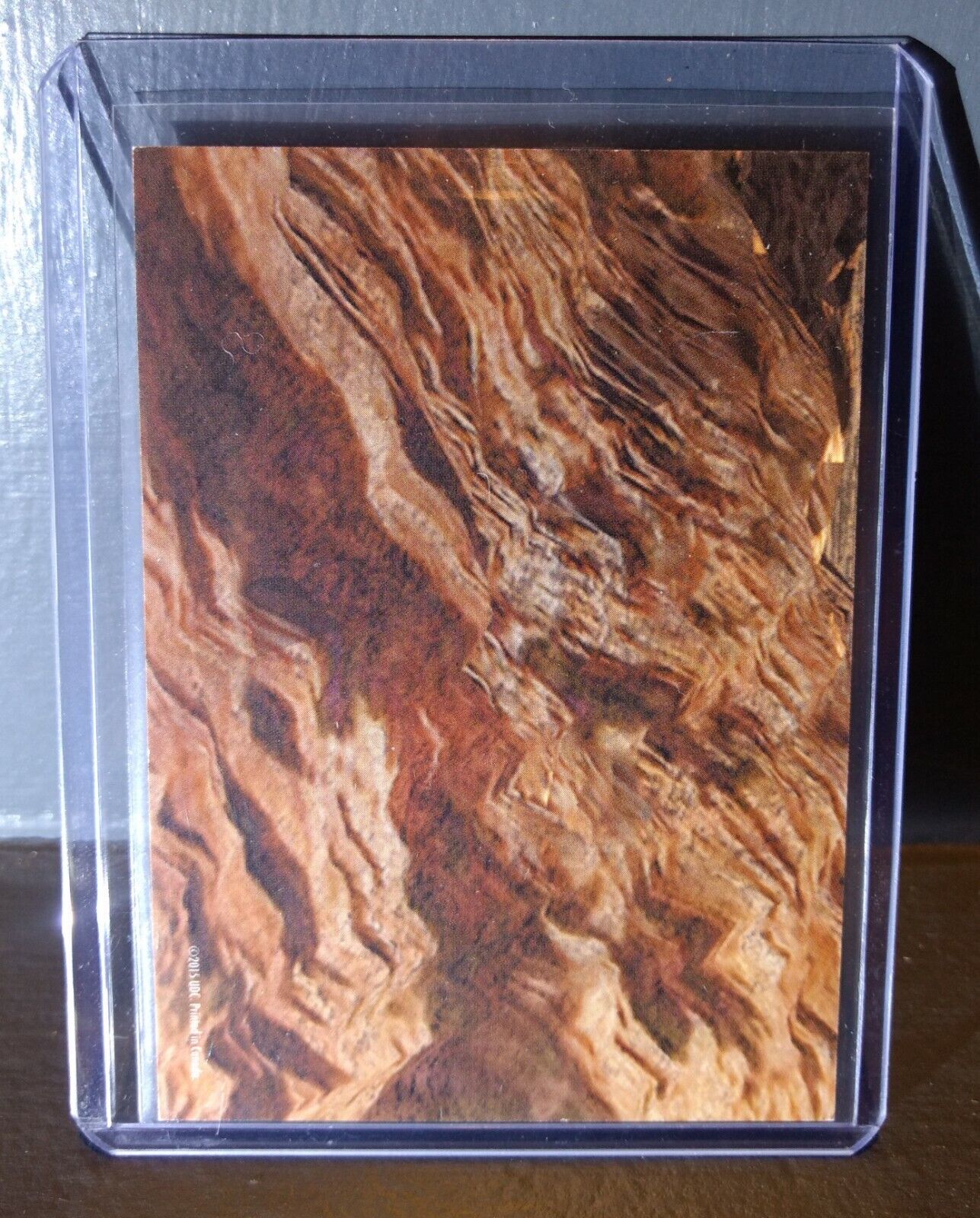 2015 Upper Deck Dinosaurs Smilodon #S-30 Trading Sticker Card