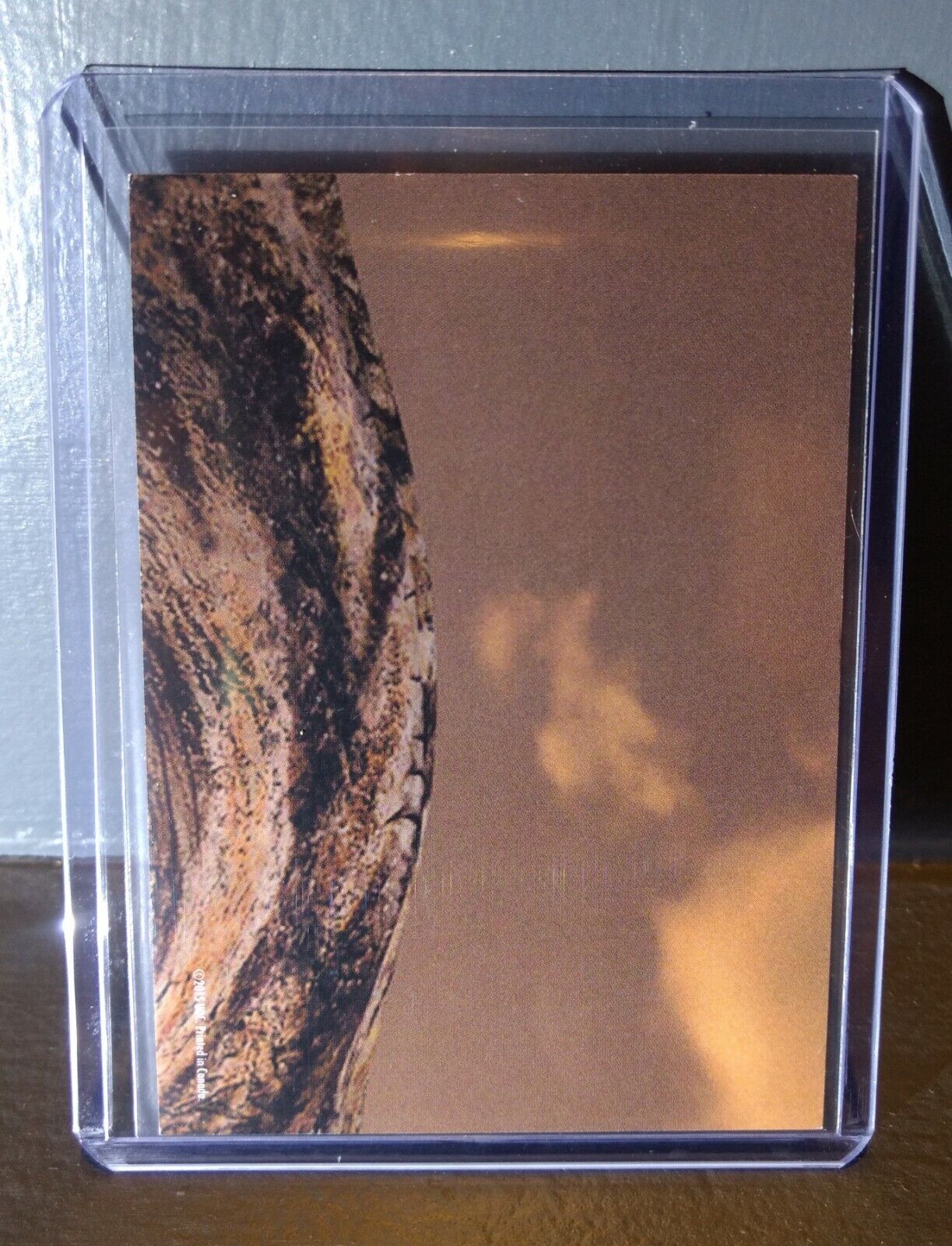 2015 Upper Deck Dinosaurs Allosaurus #S-3 Trading Sticker Card