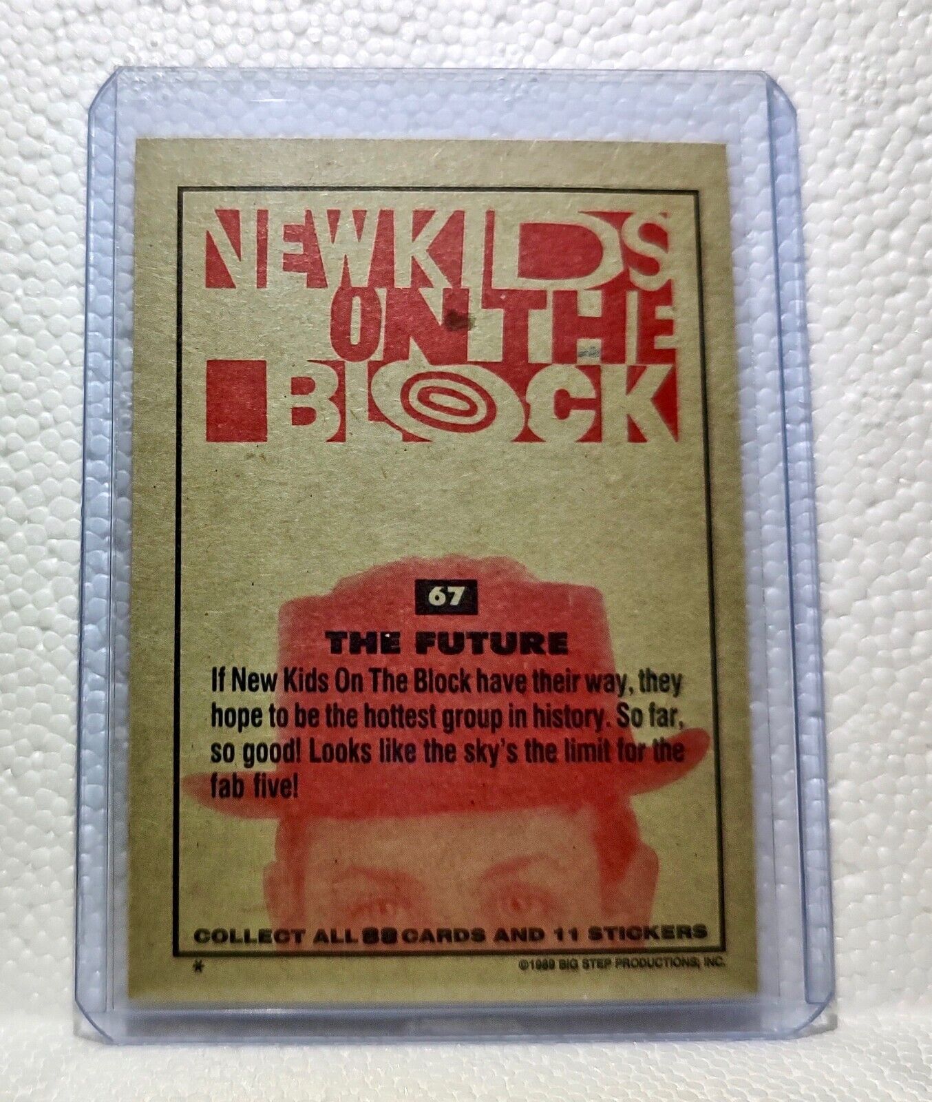 The Future 1989 New Kids on the Block #67 Trading Card
