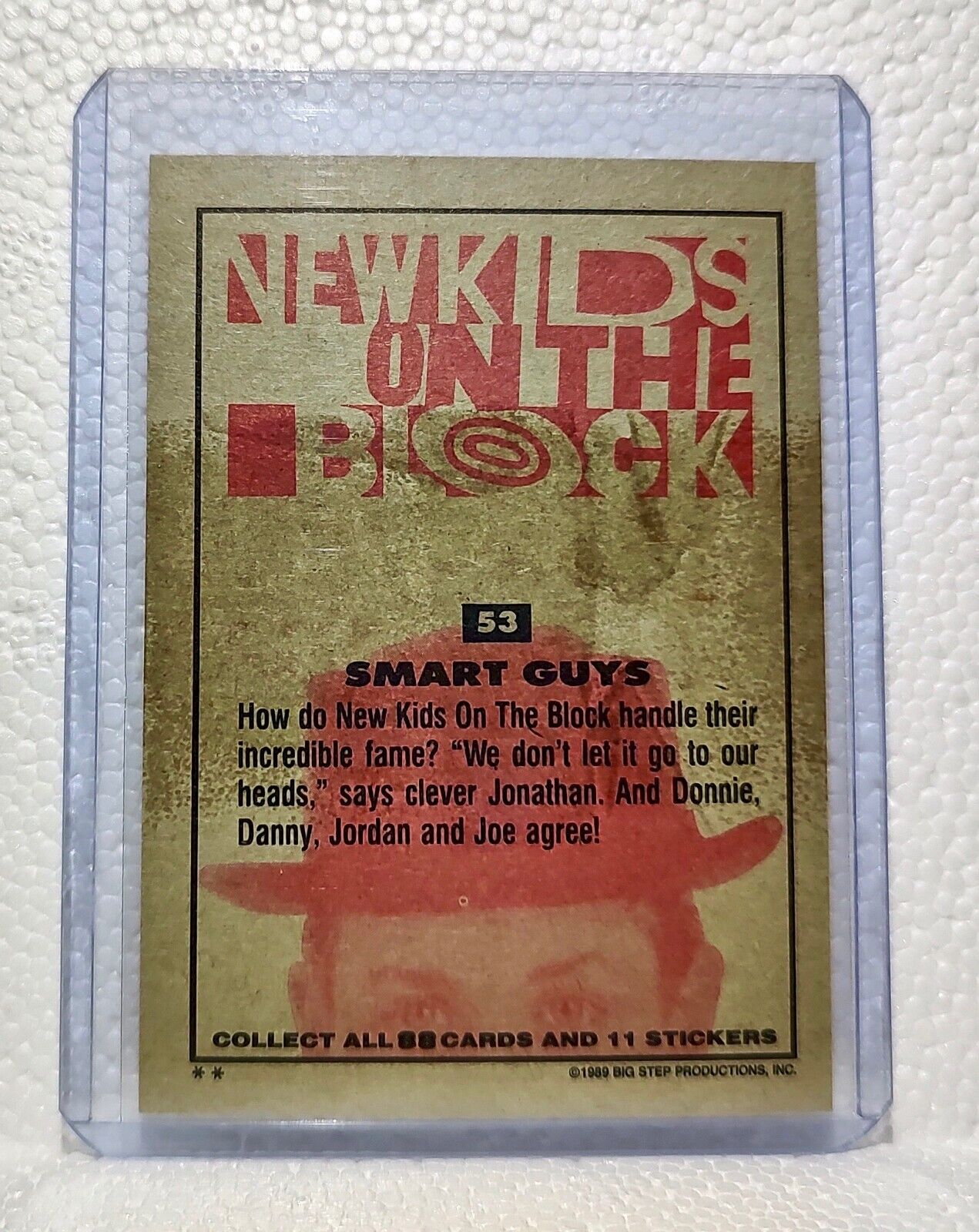 Smart Guys 1989 New Kids on the Block #53 Trading Card