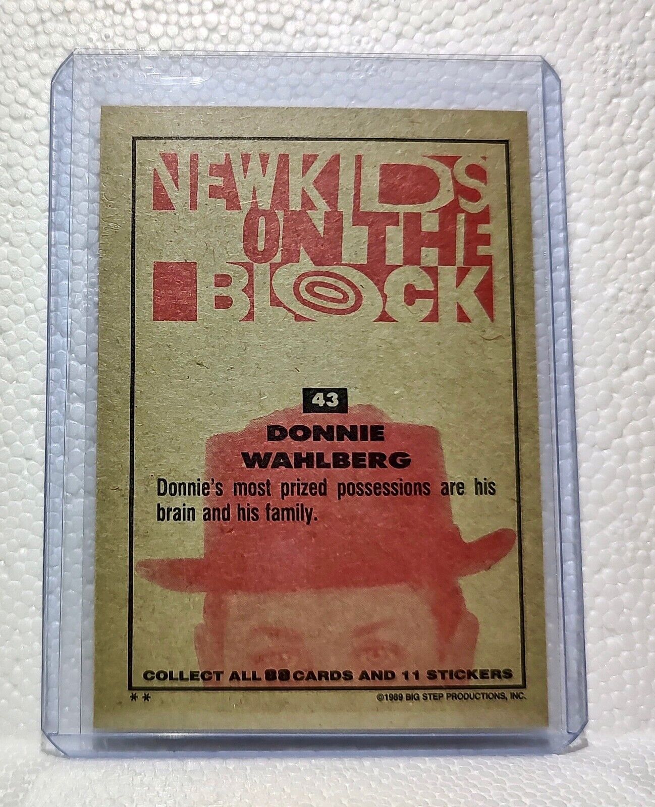 Donnie Wahlberg 1989 New Kids on the Block #43 Trading Card