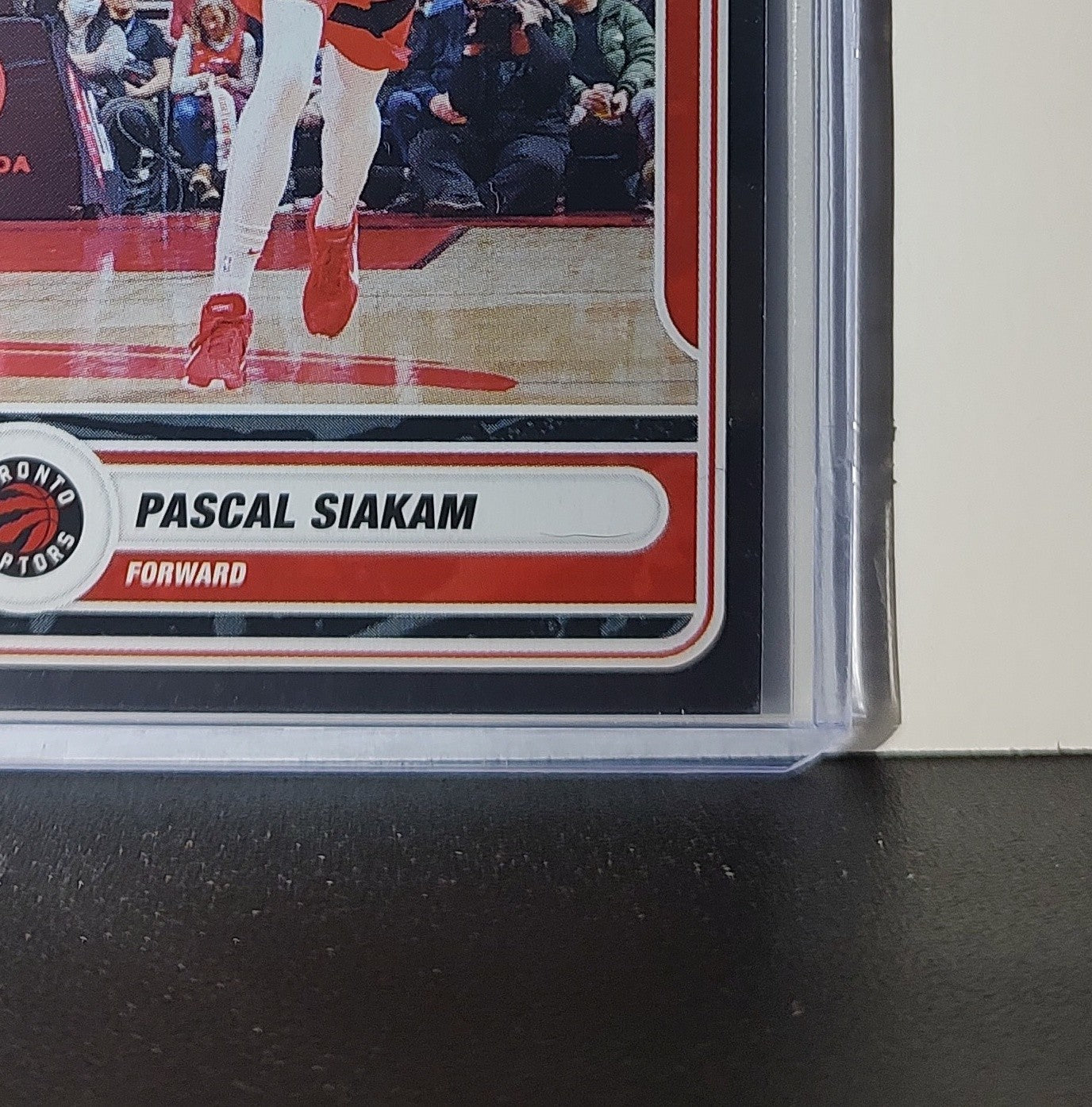 Pascal Siakam 2023-24 Panini NBA Sticker Foil Card #19 Toronto Raptors
