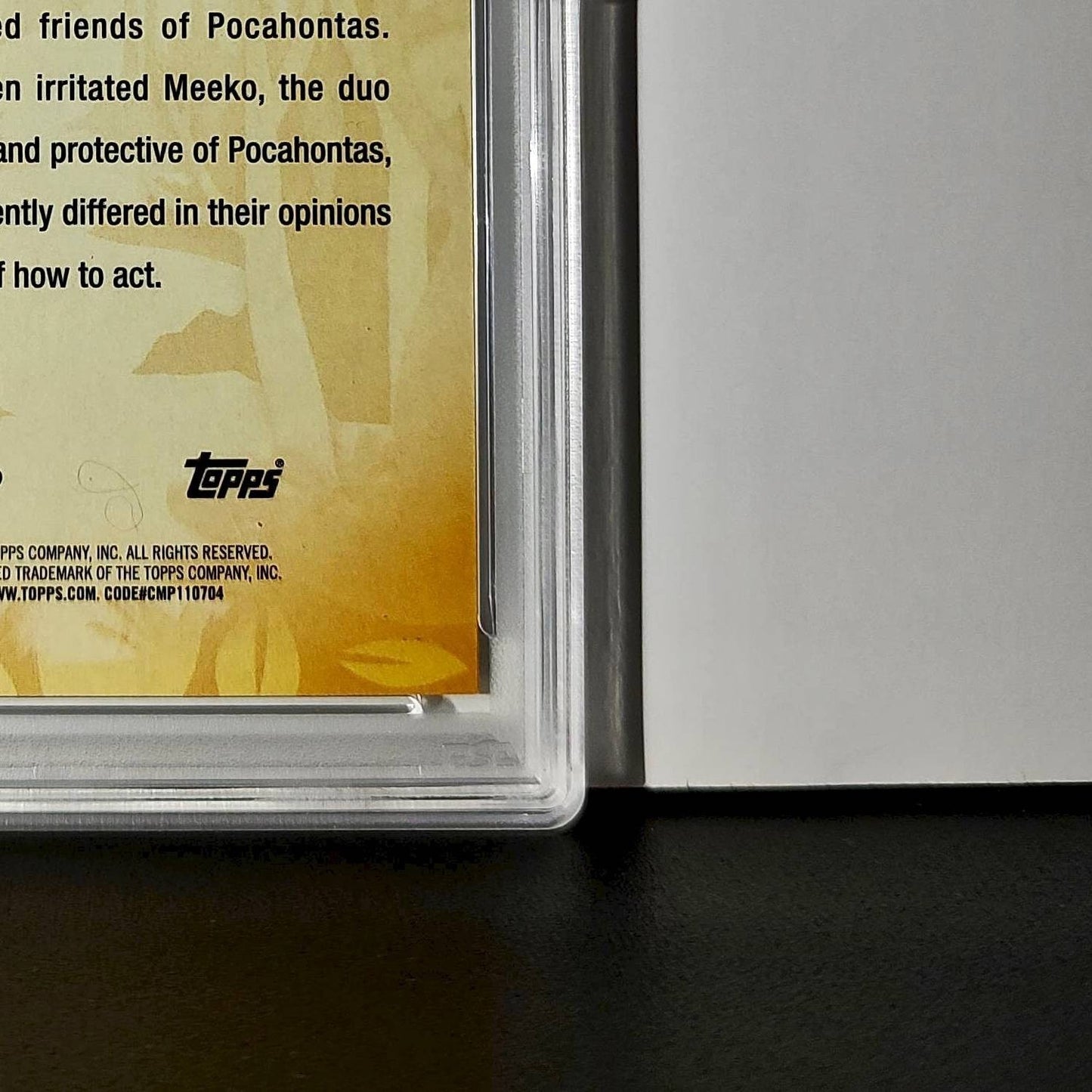 Flit and Meeko 2025 Topps Disney #FF-14 Furry Friends Card Pocahontas PSA 9 MT