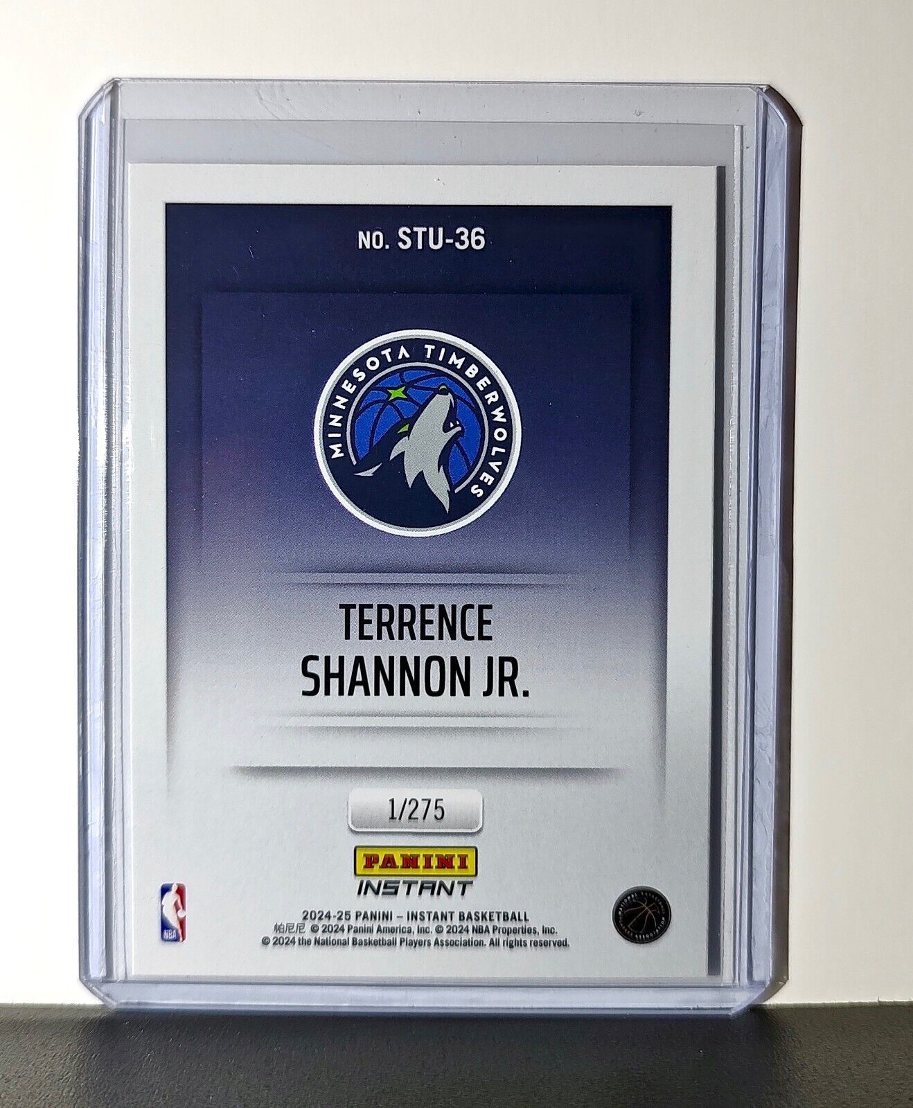 Terrence Shannon 2024-25 Panini NBA Studio #36 Rookie Card Timberwolves 1/275