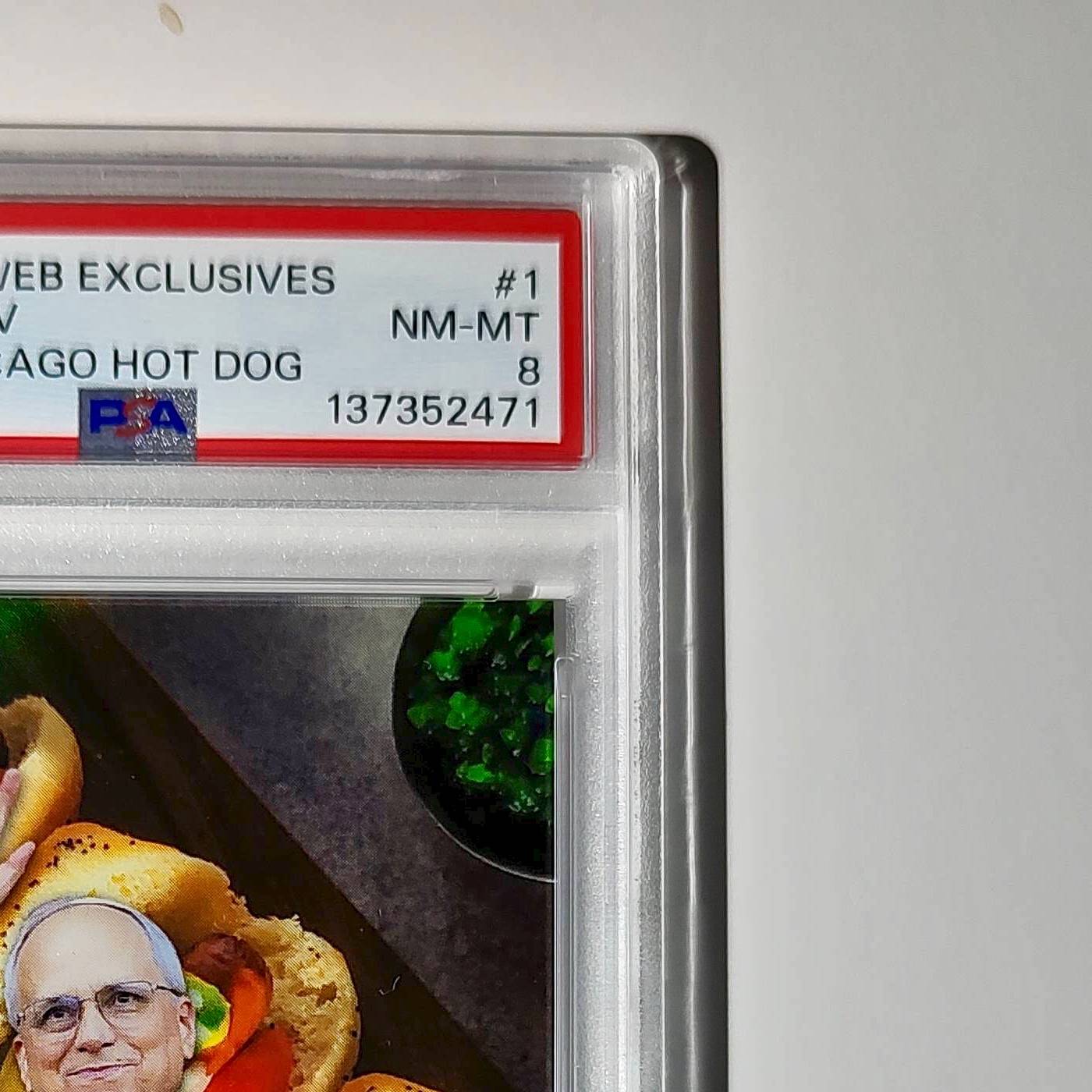 2025 Leaf Metal Pope Leo XIV 30/529 #1 Hot Dog Variant PSA 8 NM-MT