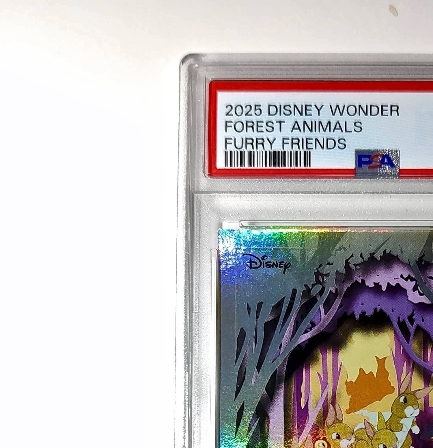 Forest Animals 2025 Topps Disney 2025 Topps Disney #FF-1 Furry Friends PSA 9