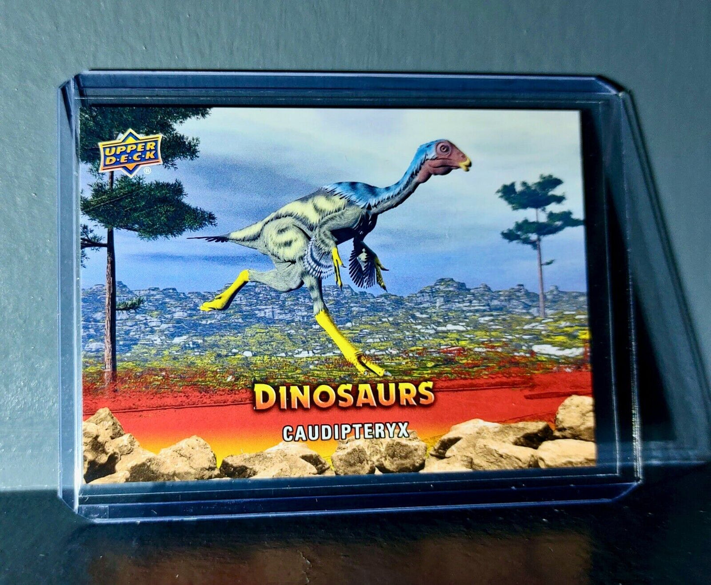 2015 Upper Deck Dinosaurs Caudipteryx Extinction Red Parallel #43 Card