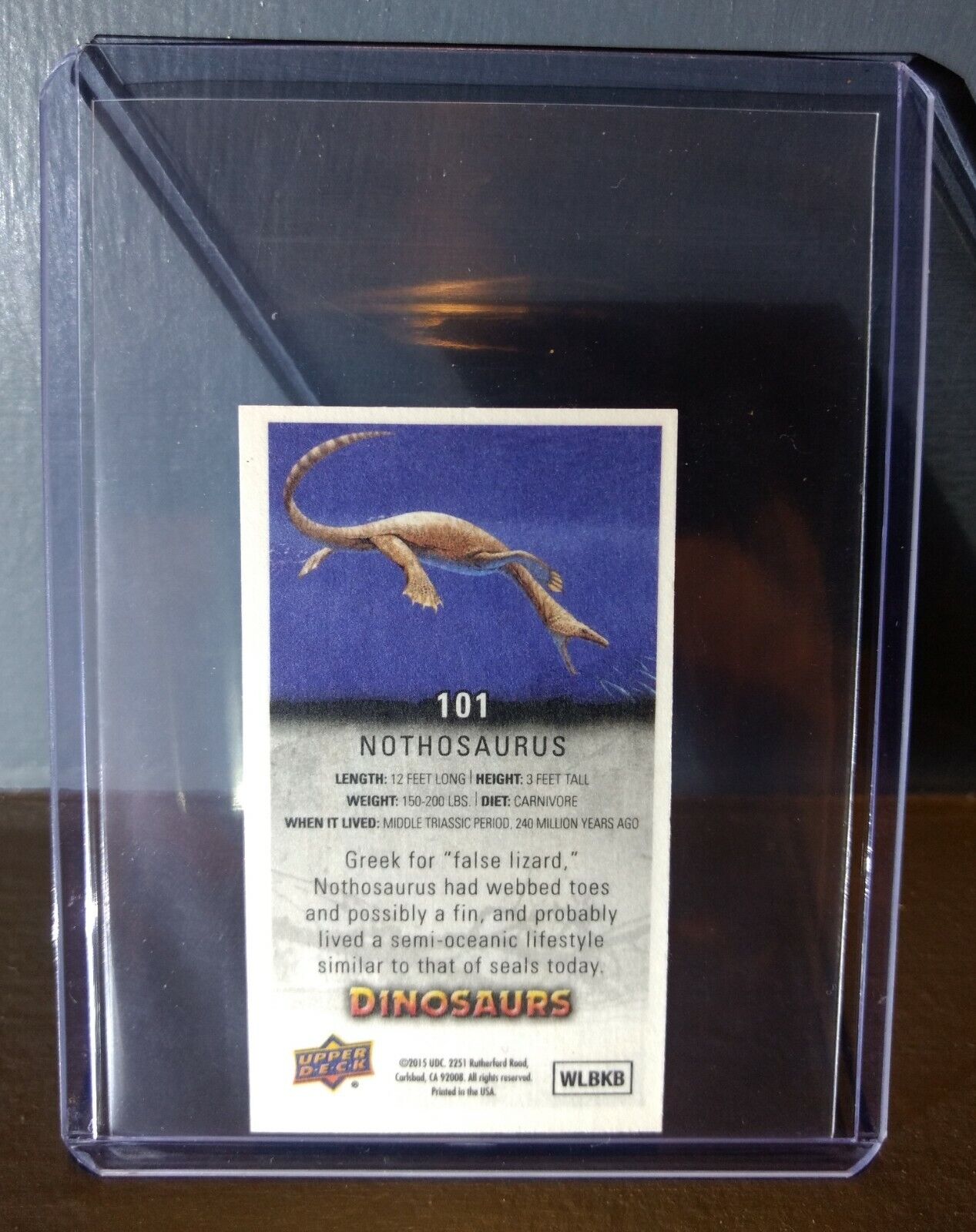 2015 Upper Deck Dinosaurs Canvas Mini Nothosaurus #101 Trading Card