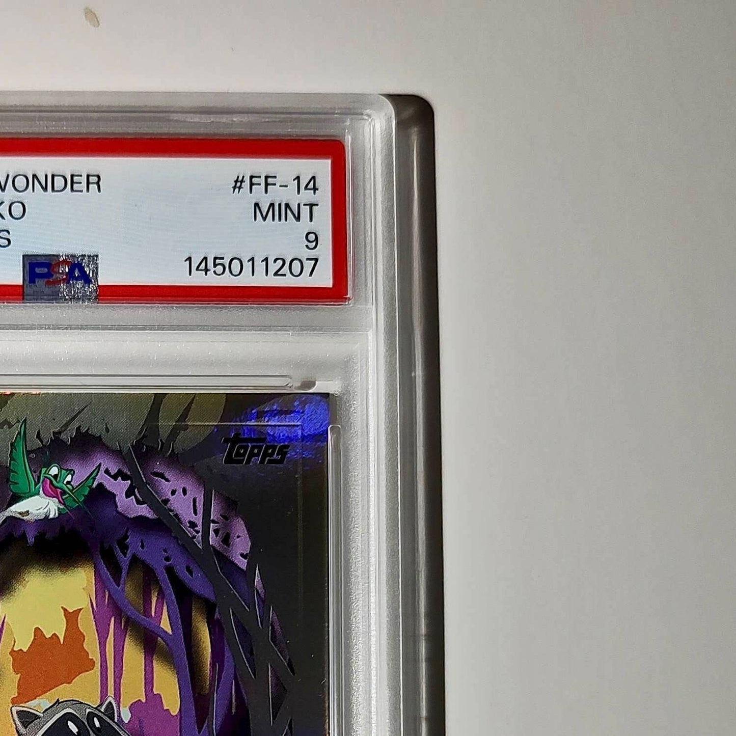 Flit and Meeko 2025 Topps Disney #FF-14 Furry Friends Card Pocahontas PSA 9