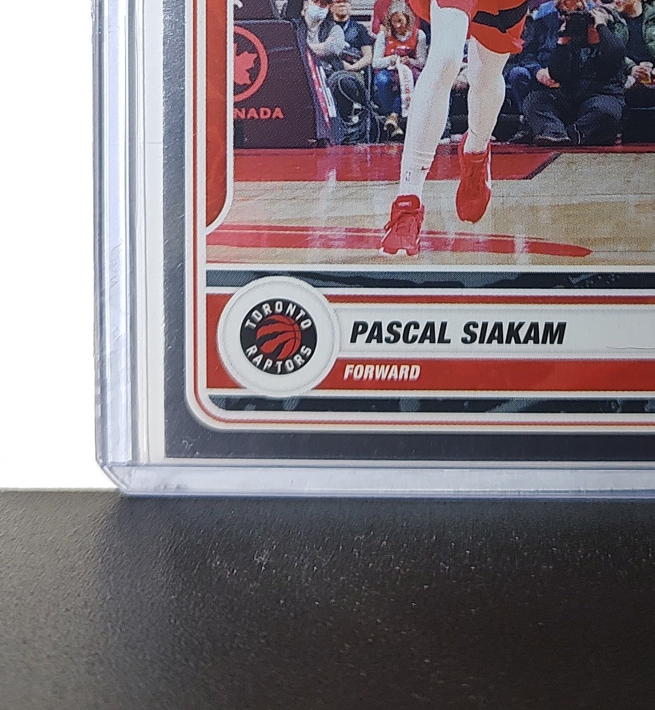 Pascal Siakam 2023-24 Panini NBA Sticker Foil Card #19 Toronto Raptors