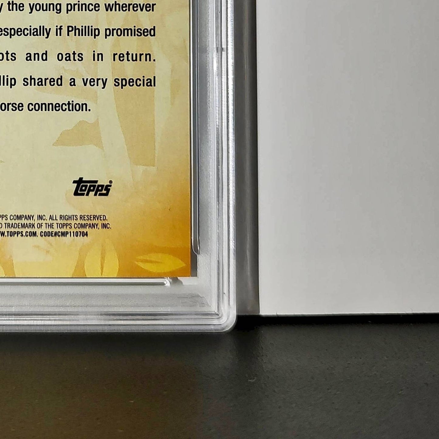 Samson 2025 Topps Disney #FF-8 Furry Friends Card Sleeping Beauty PSA 9 MT