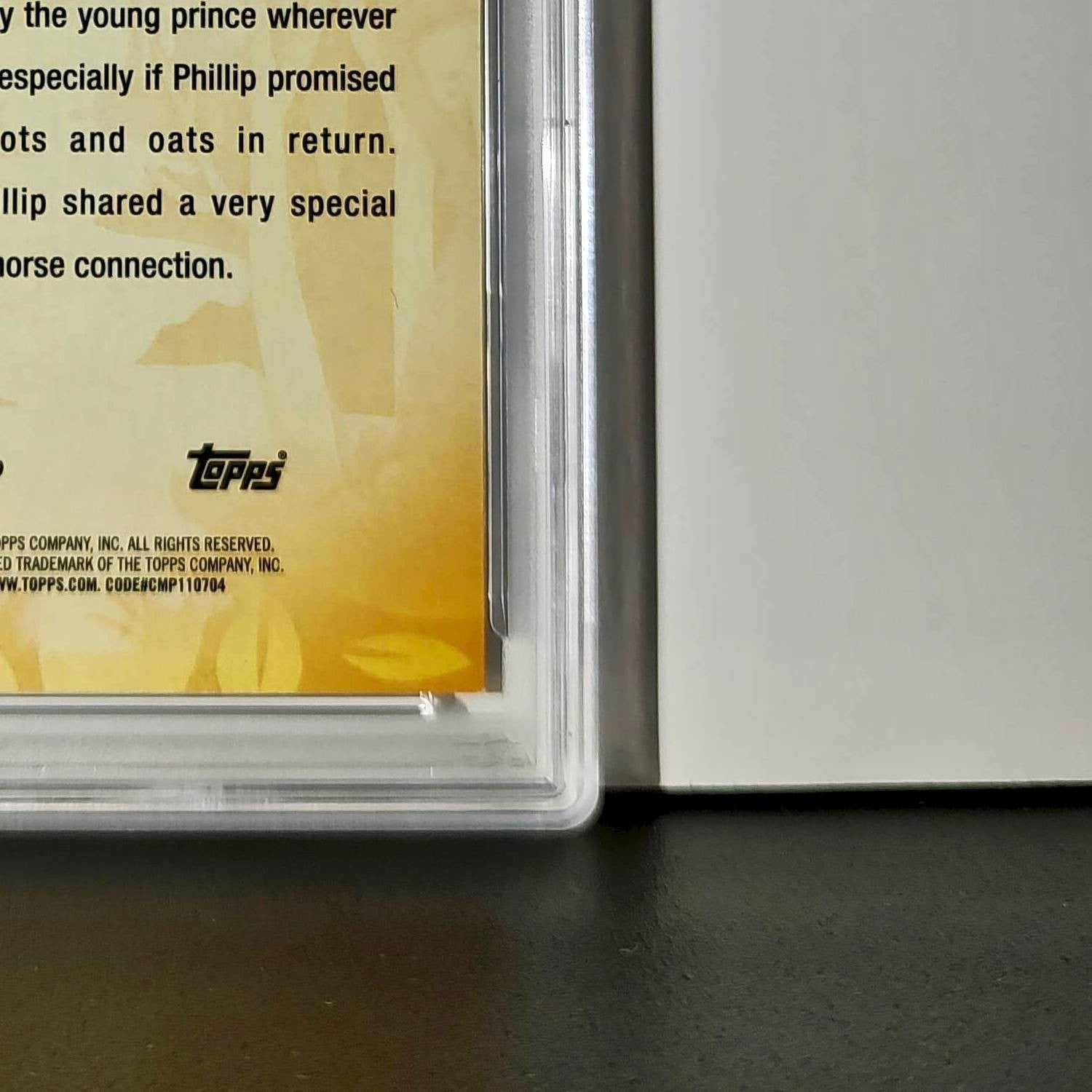 Samson 2025 Topps Disney #FF-8 Furry Friends Card Sleeping Beauty PSA 9