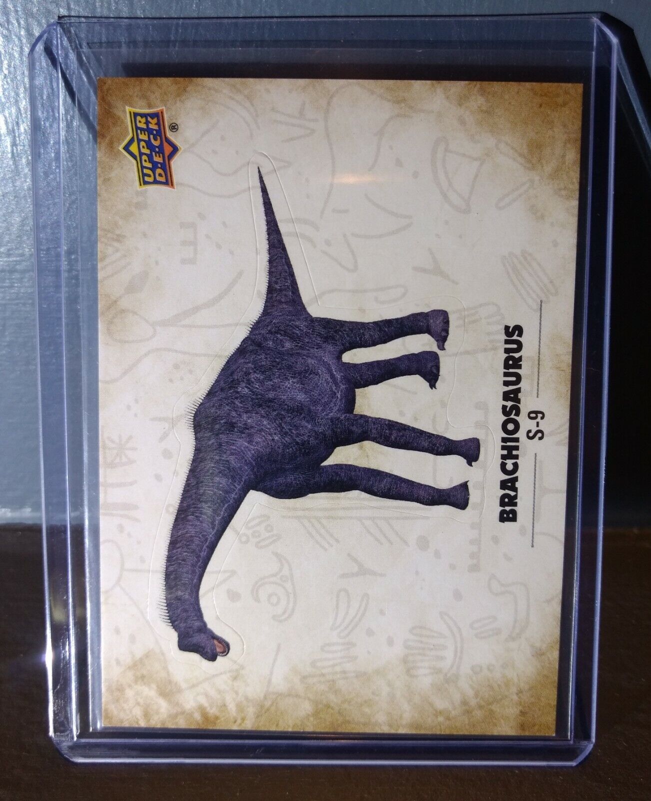 2015 Upper Deck Dinosaurs Brachiosaurus #S-9 Trading Sticker Card