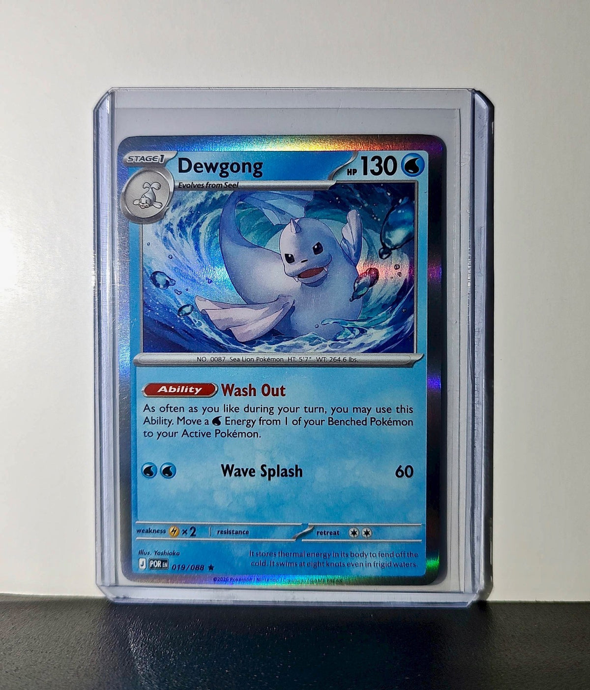 Pokemon Dewgong HP 130 Stage 1 Water 019/088 2025 Perfect Order Mega Evolution