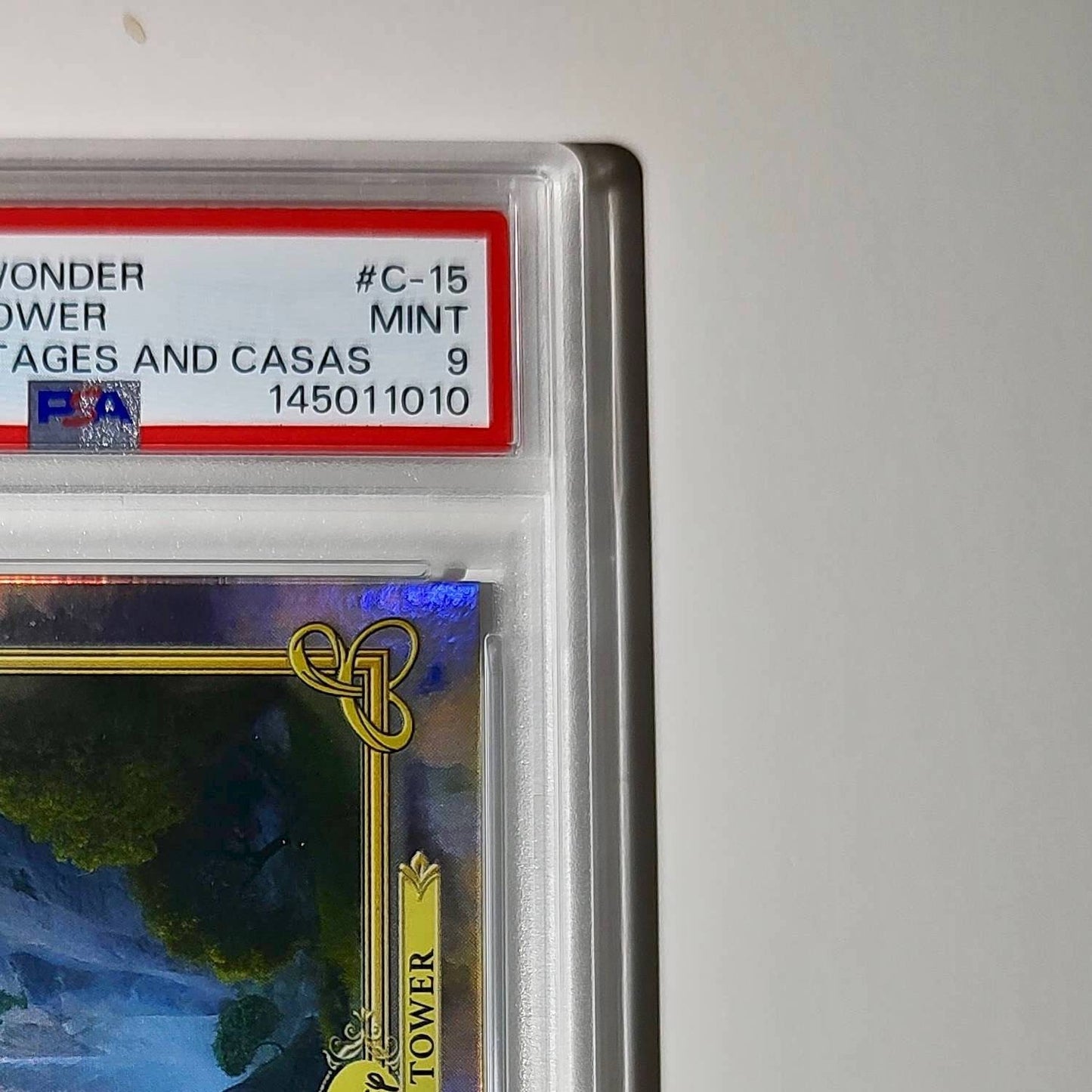 Rapunzel's Tower 2025 Topps Disney #C-15 Card Tangled PSA 9