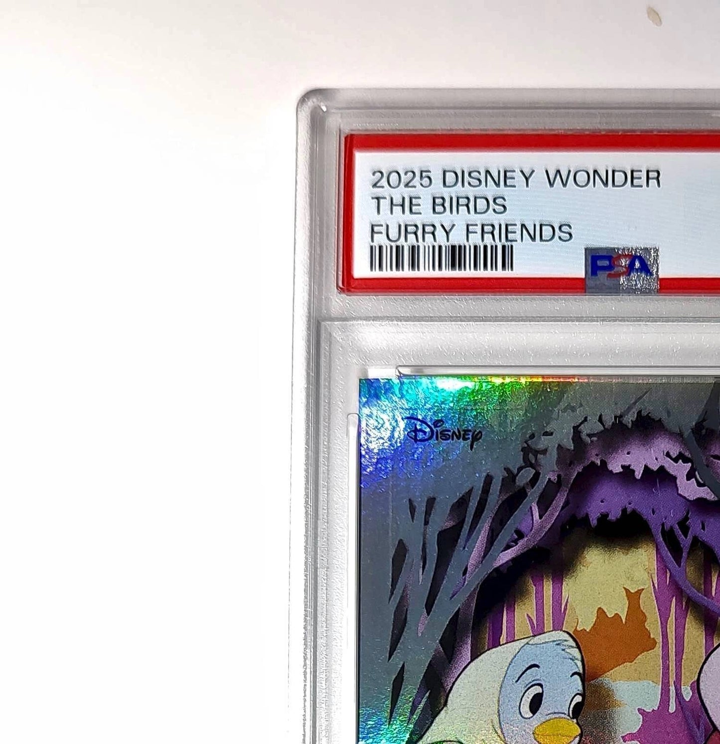 The Birds 2025 Topps Disney #FF-5 Furry Friends Card Cinderella PSA 9