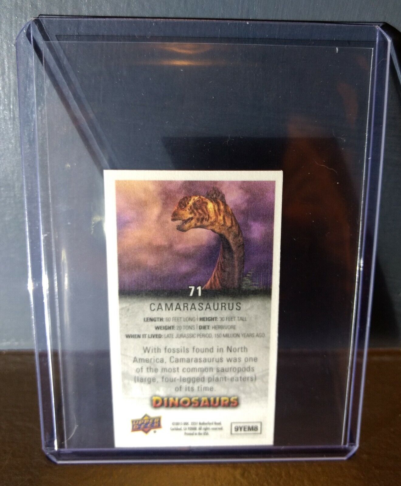 2015 Upper Deck Dinosaurs Canvas Mini Camarasaurus #71 Trading Card