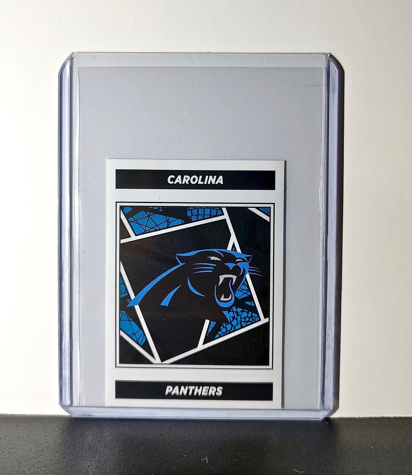 Logo 2024 Panini NFL Sticker #441 Carolina Panthers