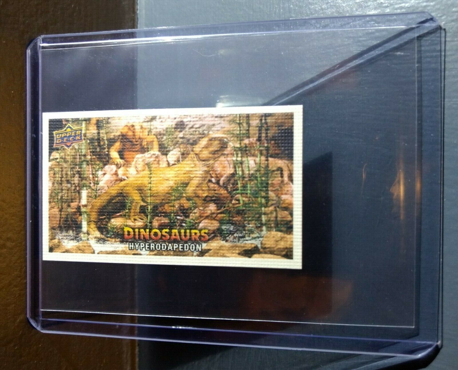 2015 Upper Deck Dinosaurs Canvas Mini Hyperodapedon #72 Trading Card