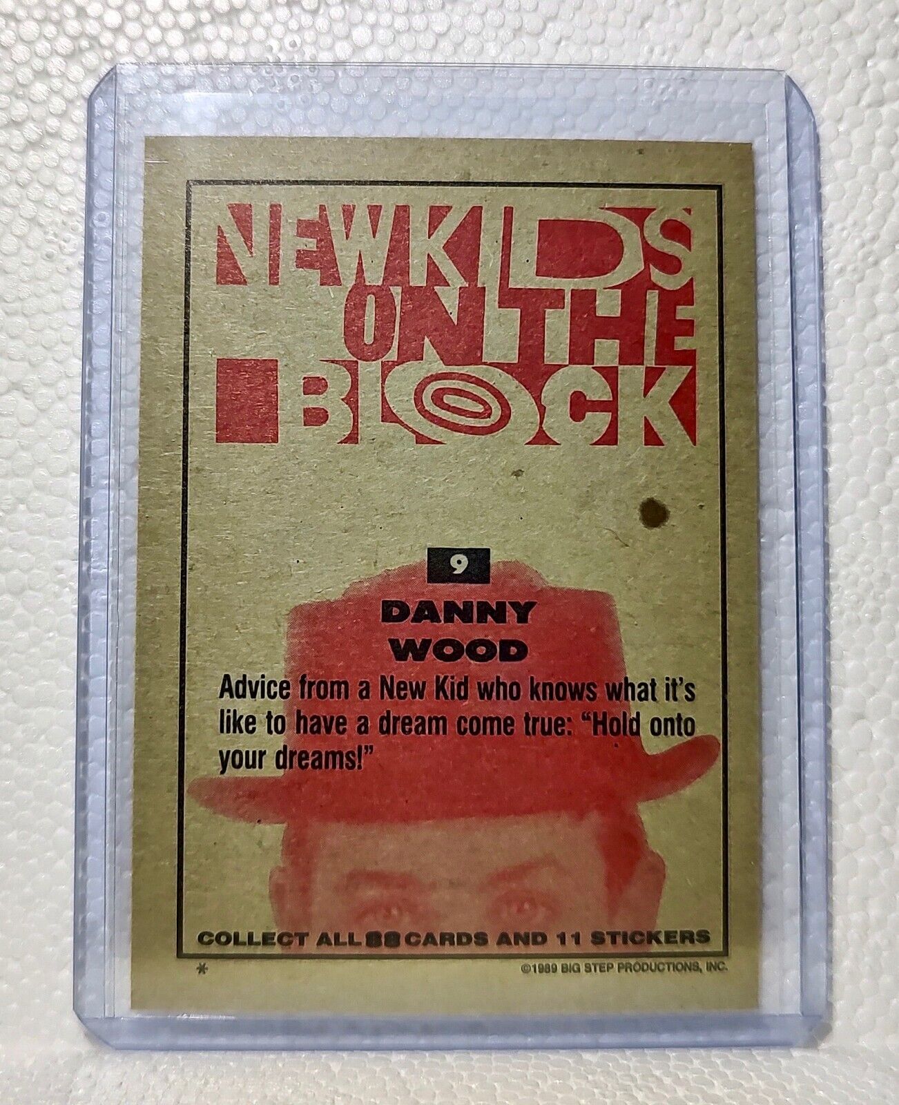 Danny Wood 1989 New Kids on the Block #9 Trading Card