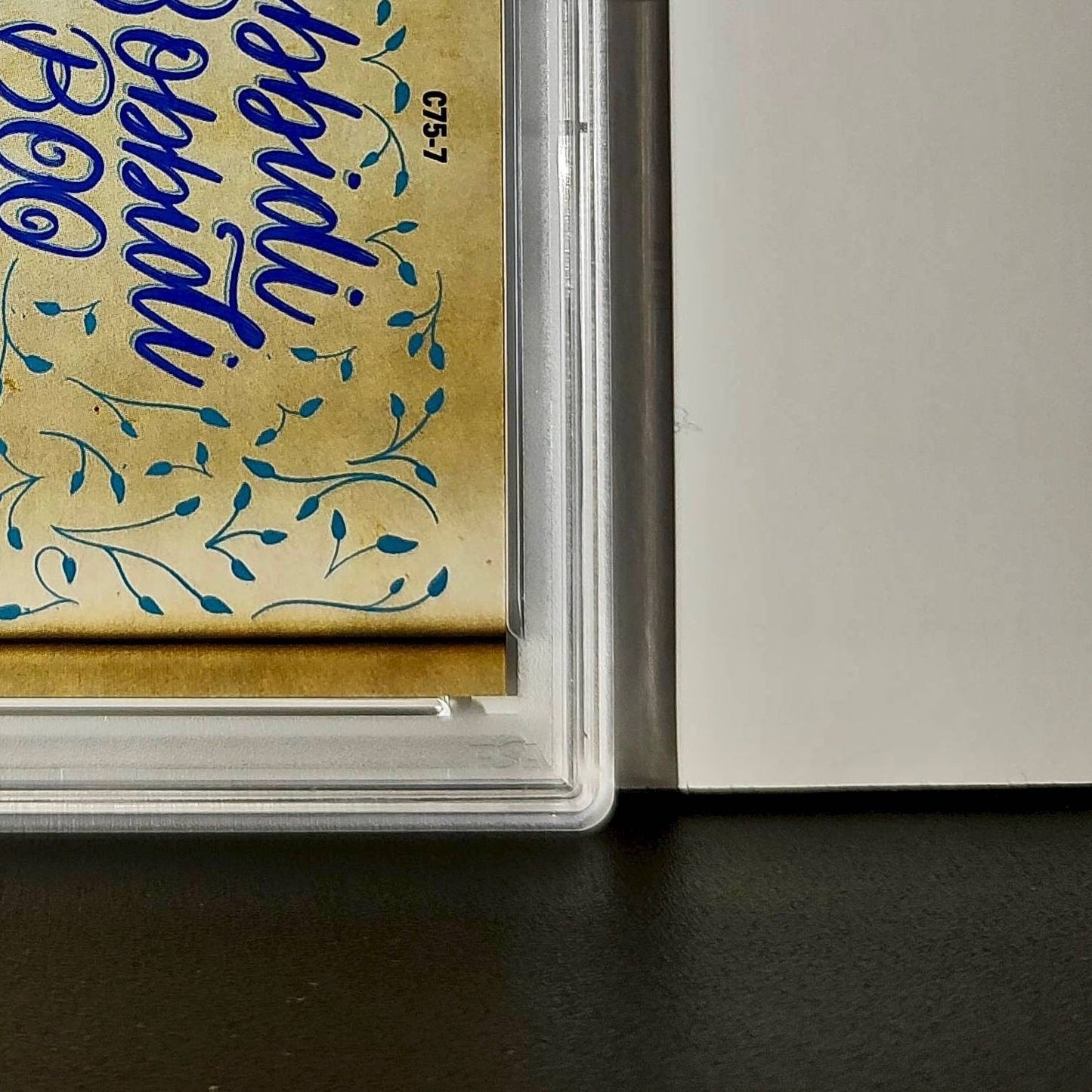 More chores: oh sing, sweet nightingale 2025 Topps Disney #C75-7 PSA 9