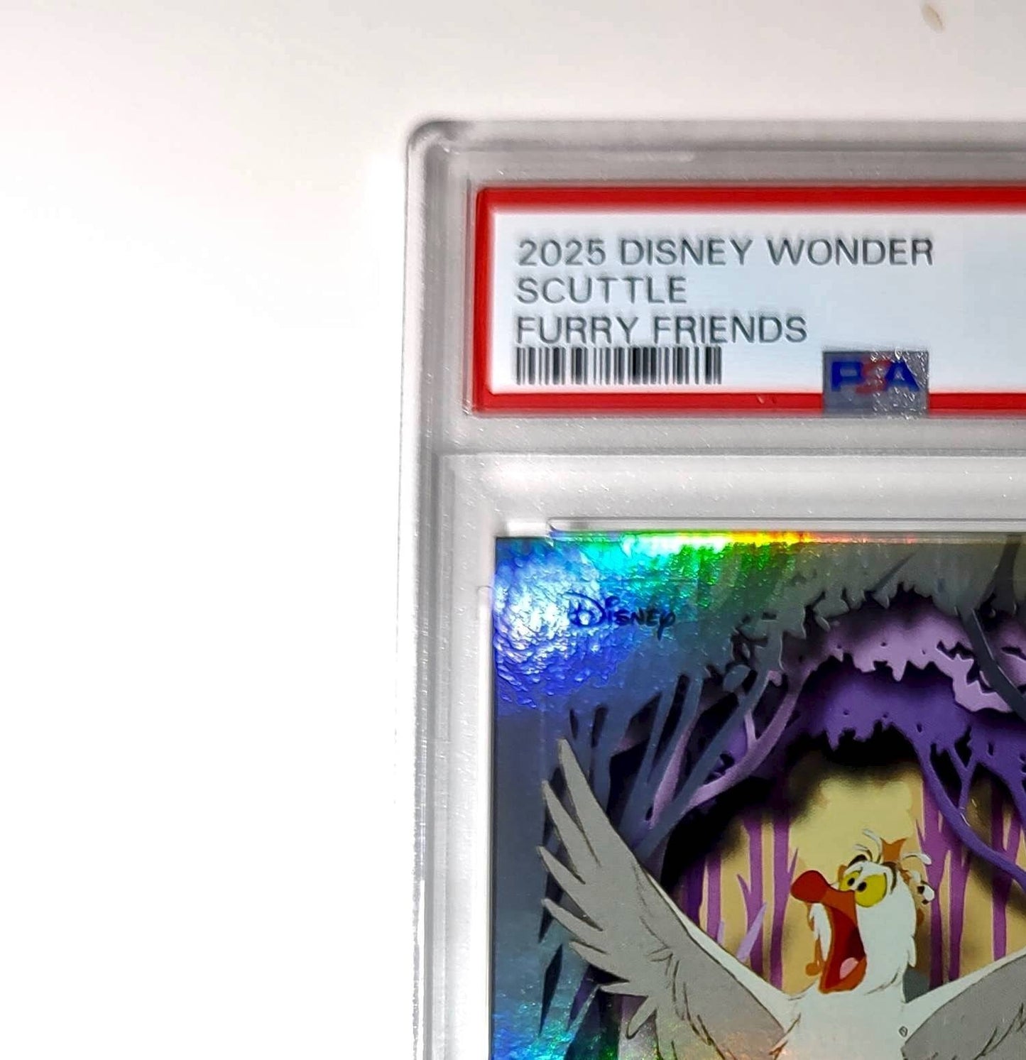 Scuttle 2025 Topps Disney #FF-9 Furry Friends Card The Little Mermaid PSA 9 Mint