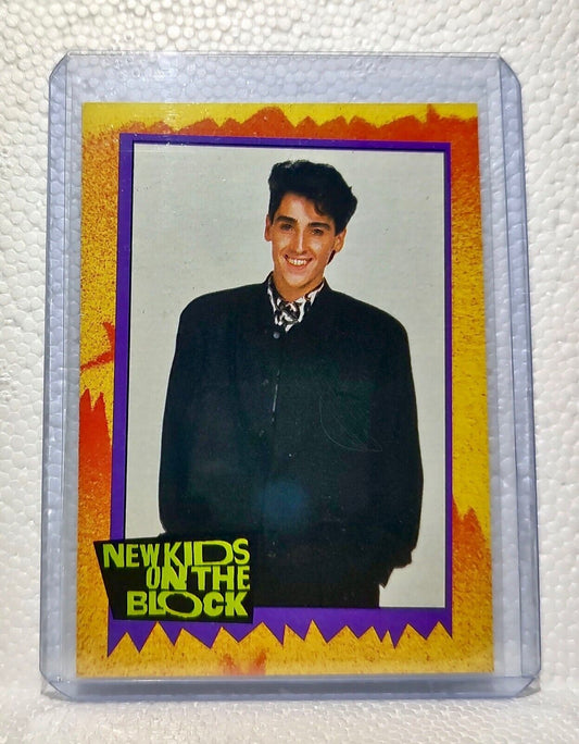 Smart Guys 1989 New Kids on the Block #53 Trading Card