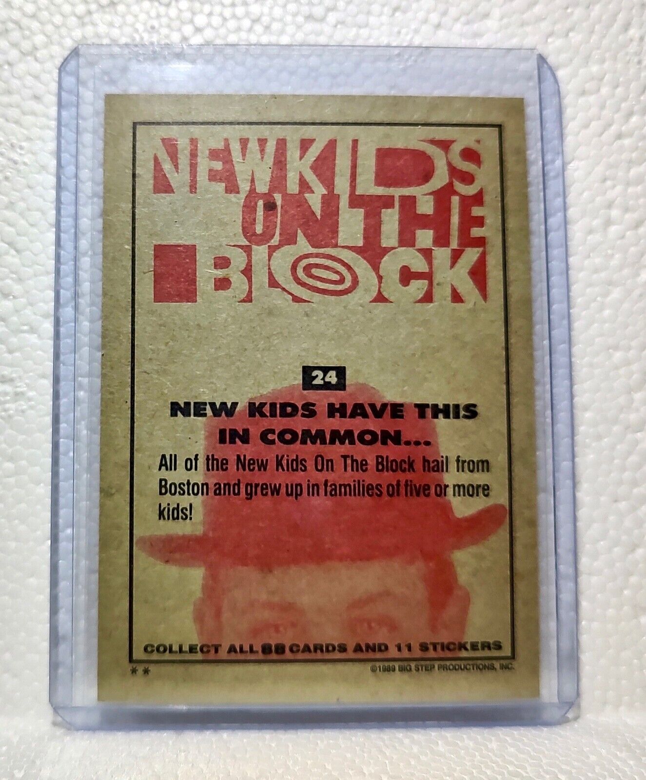 New Kids Have This is Common 1989 New Kids on the Block #24 Trading Card