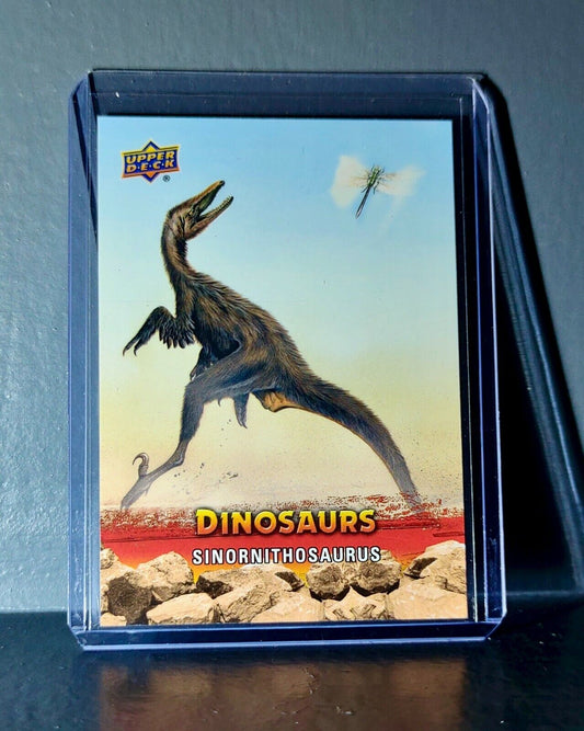 2015 Upper Deck Dinosaurs Sinornithosaurus Extinction Red Parallel #79 Card