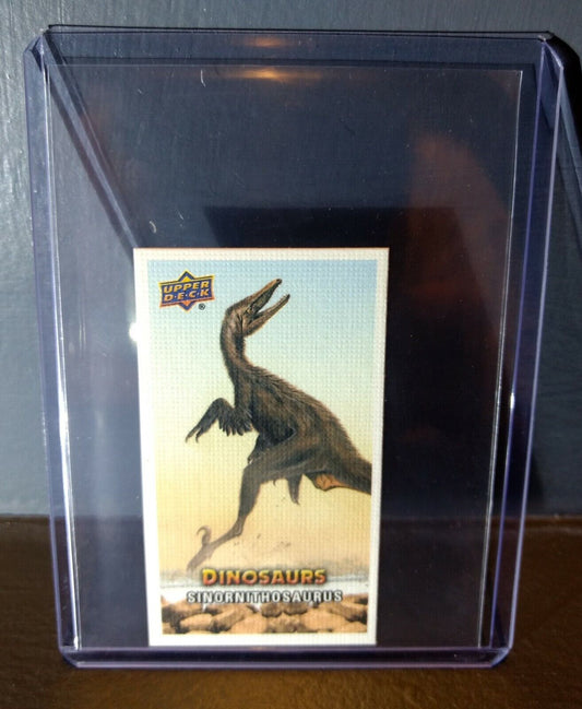 2015 Upper Deck Dinosaurs Canvas Mini Sinornithosaurus #79 Trading Card