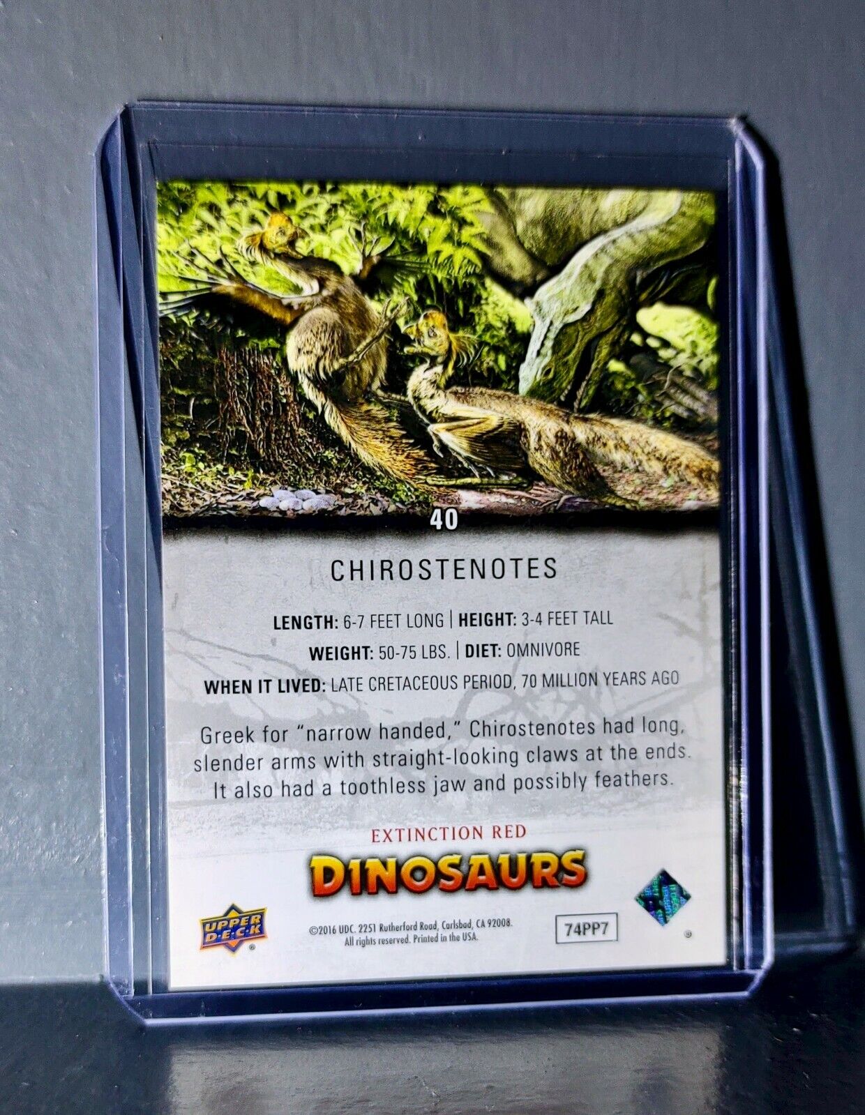 2015 Upper Deck Dinosaurs Chirostenotes Extinction Red Parallel #40 Card