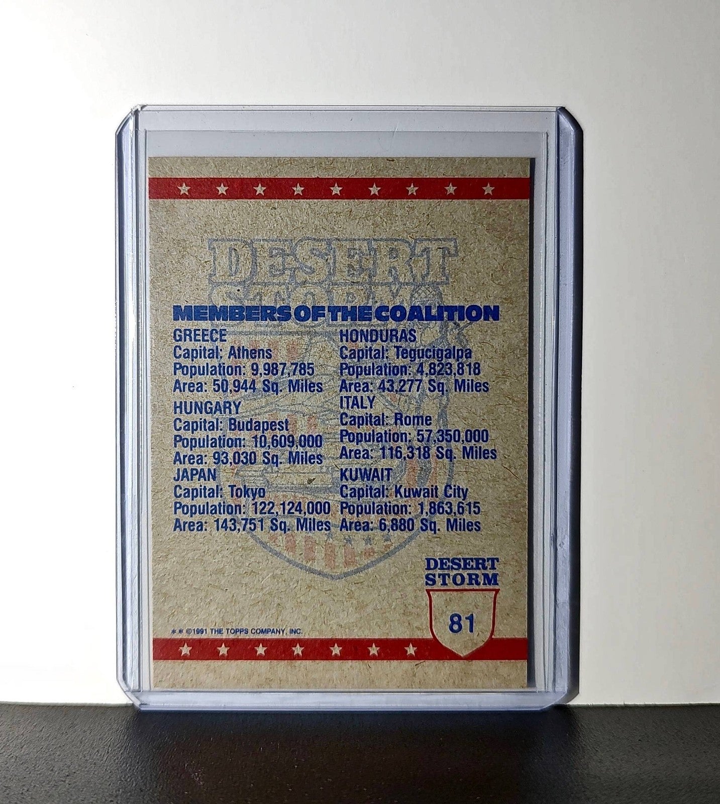 The View from Above 1991 Topps Desert Storm #81 Card