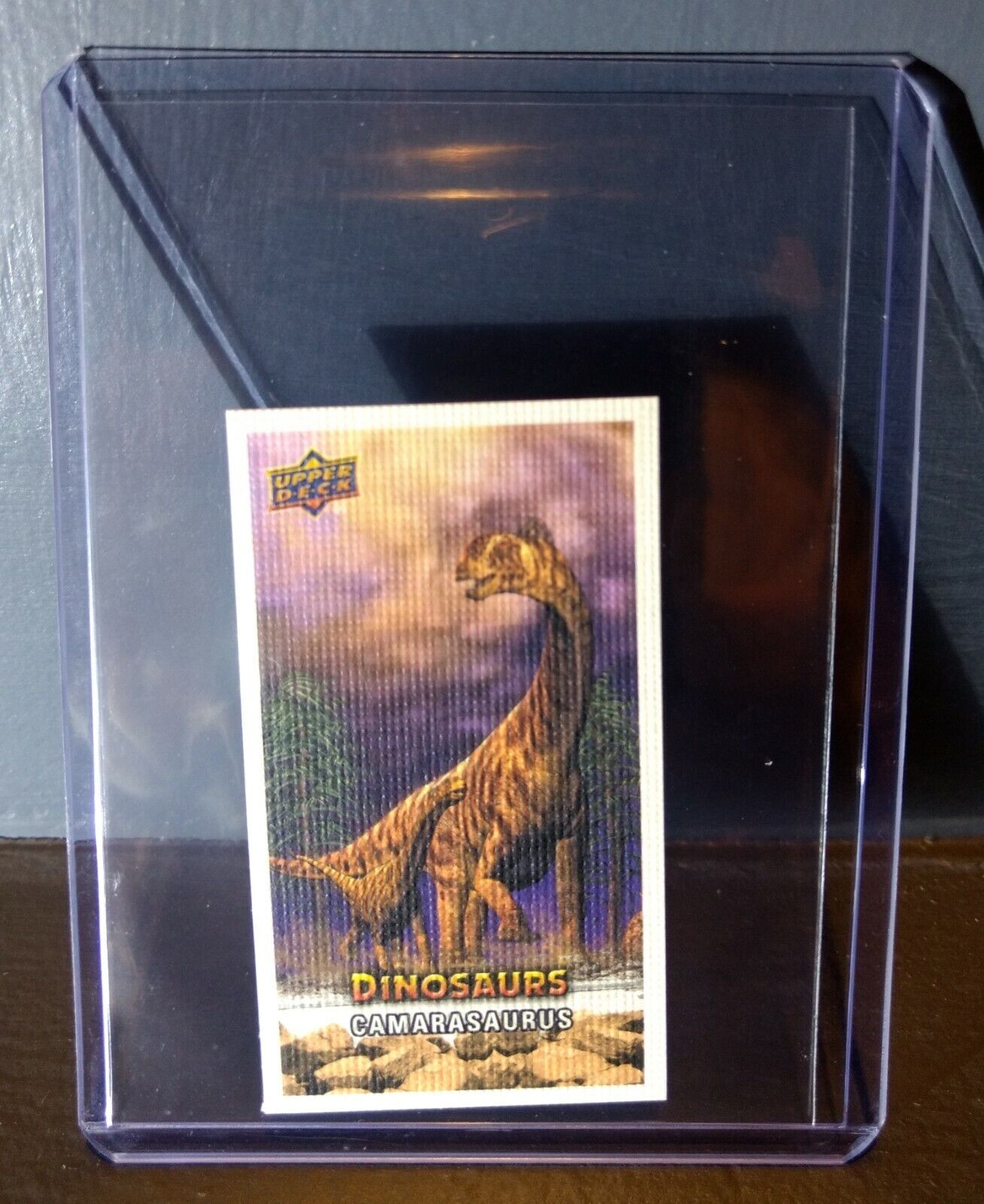 2015 Upper Deck Dinosaurs Canvas Mini Camarasaurus #71 Trading Card