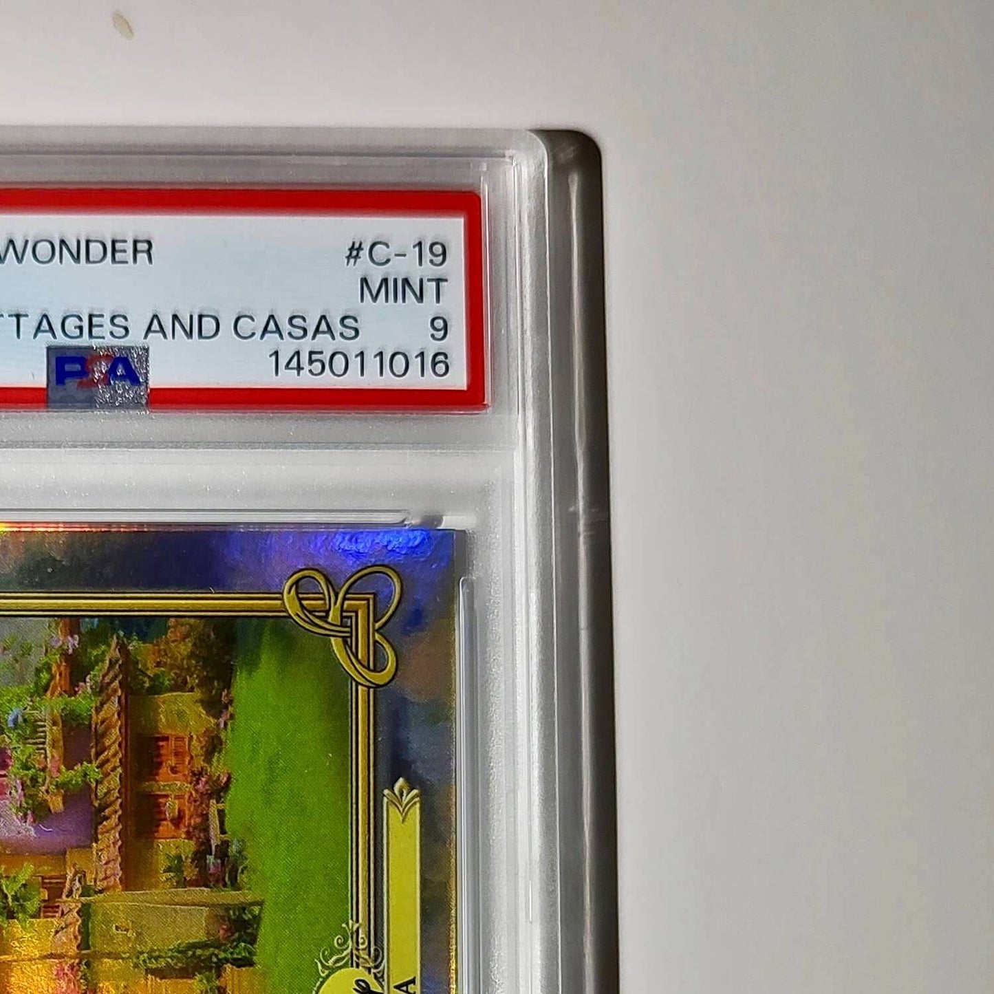 Casita 2025 Topps Disney #C-19 Card Encanto PSA 9