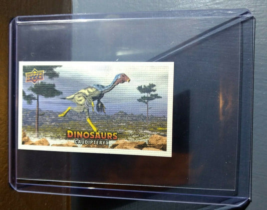 2015 Upper Deck Dinosaurs Canvas Mini Caudipteryx #43 Trading Card