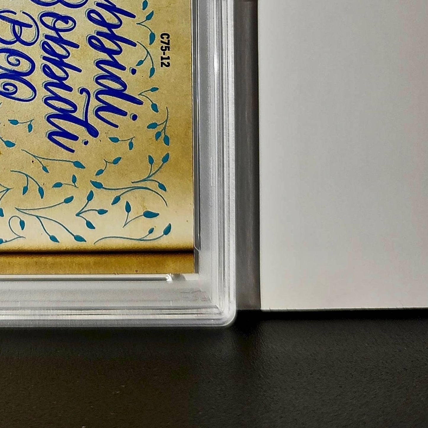 Why she must be… Cinderella's Fairy Godmother! 2025 Topps Disney #C75-12 PSA 9