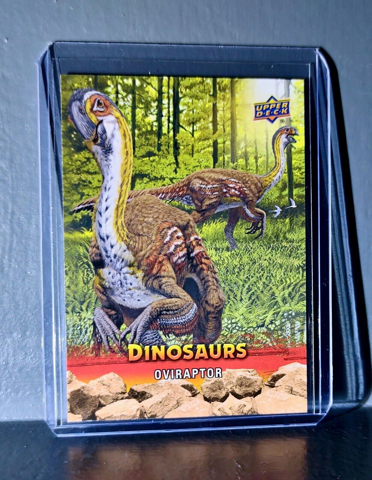 2015 Upper Deck Dinosaurs Oviraptor Extinction Red Parallel #39 Card